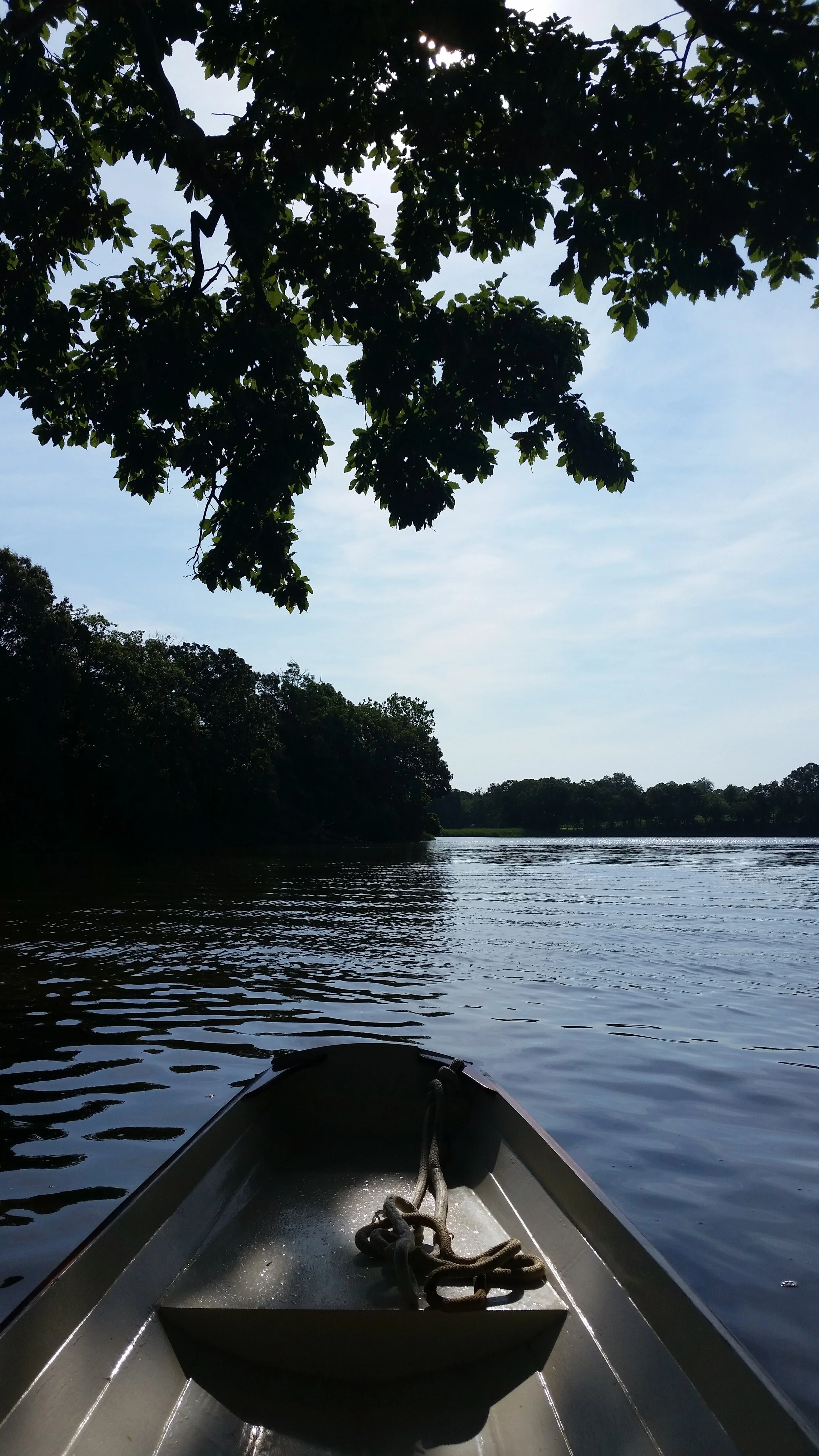 20160712_090700.jpg