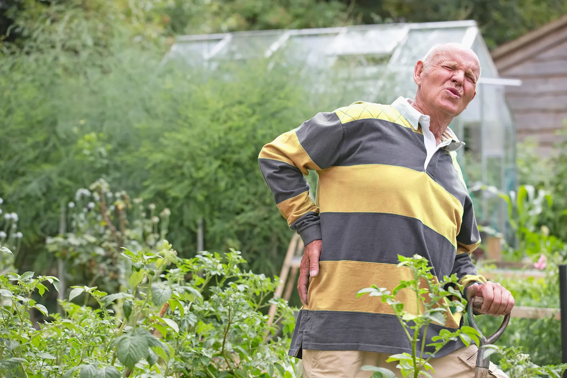 Why Does My Lower Back Hurt After Gardening? When to See a Physio in Islington