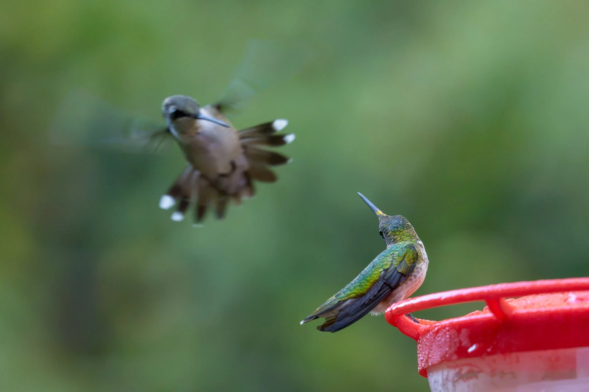 Don’t mess with my food!