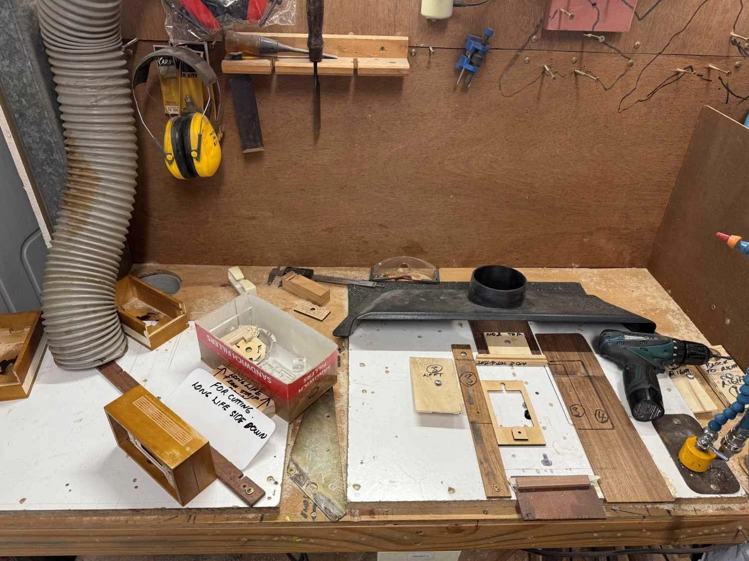 Tokyo We Have A Problem puzzle Brain Young