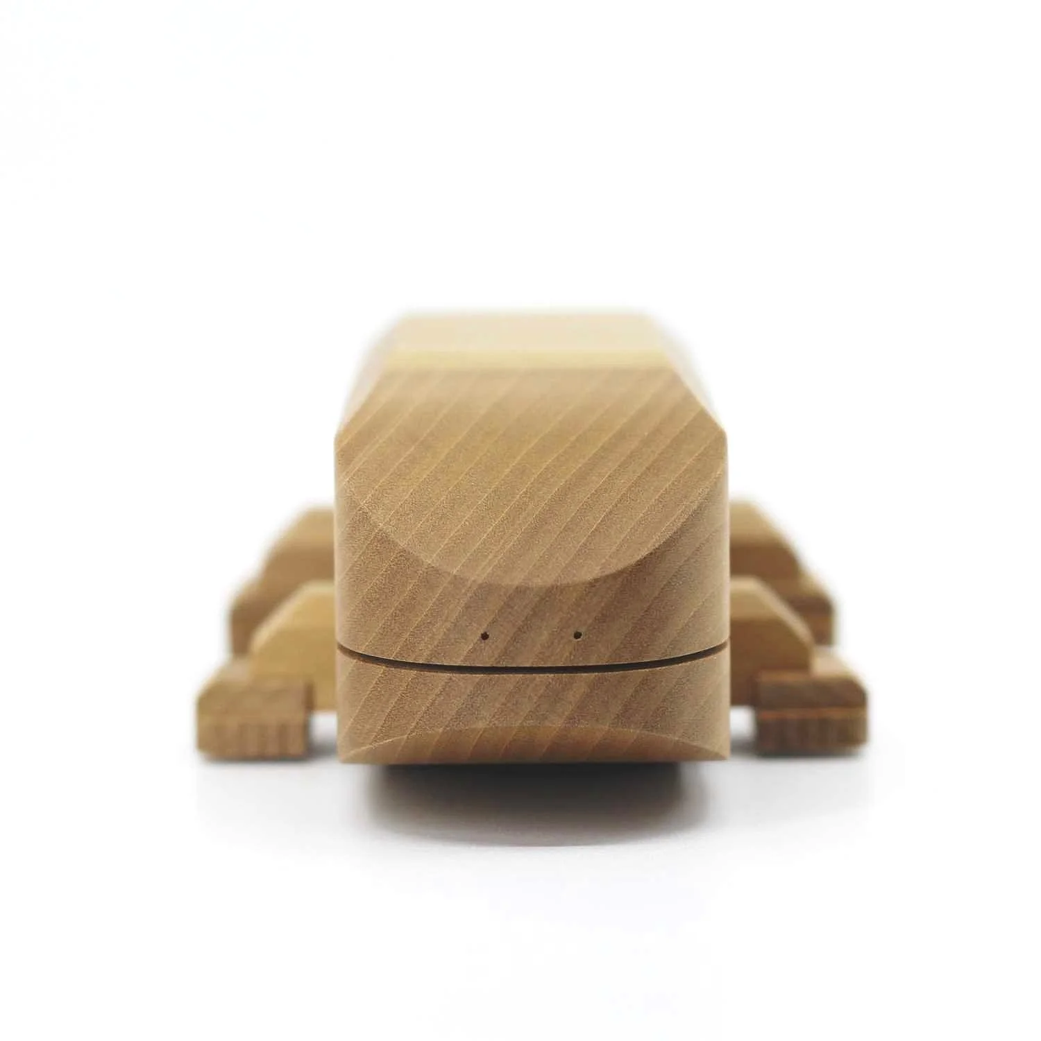 Ichthyostega puzzle box by Yoh kakuda