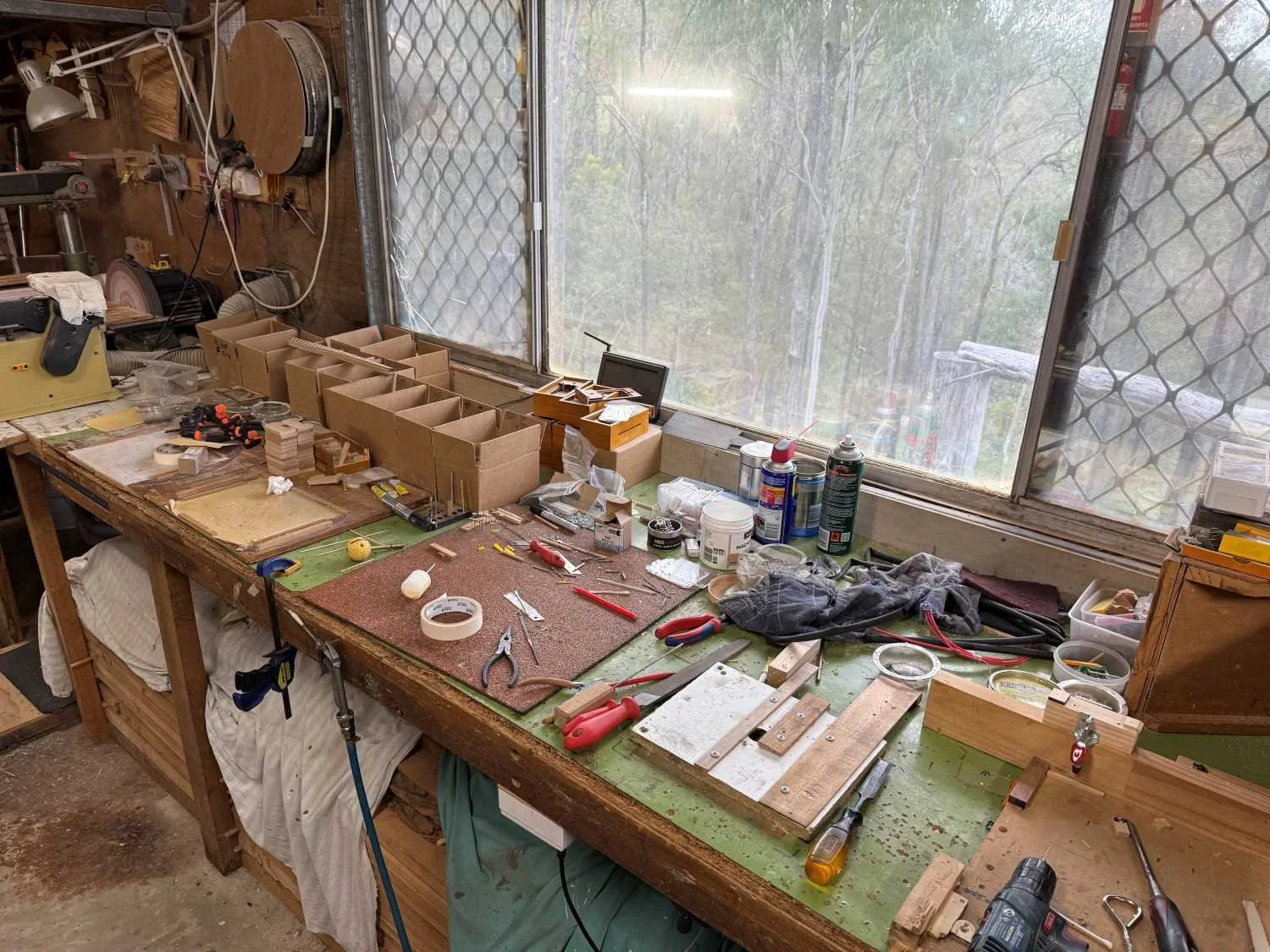 Tokyo We Have A Problem puzzle Brain Young