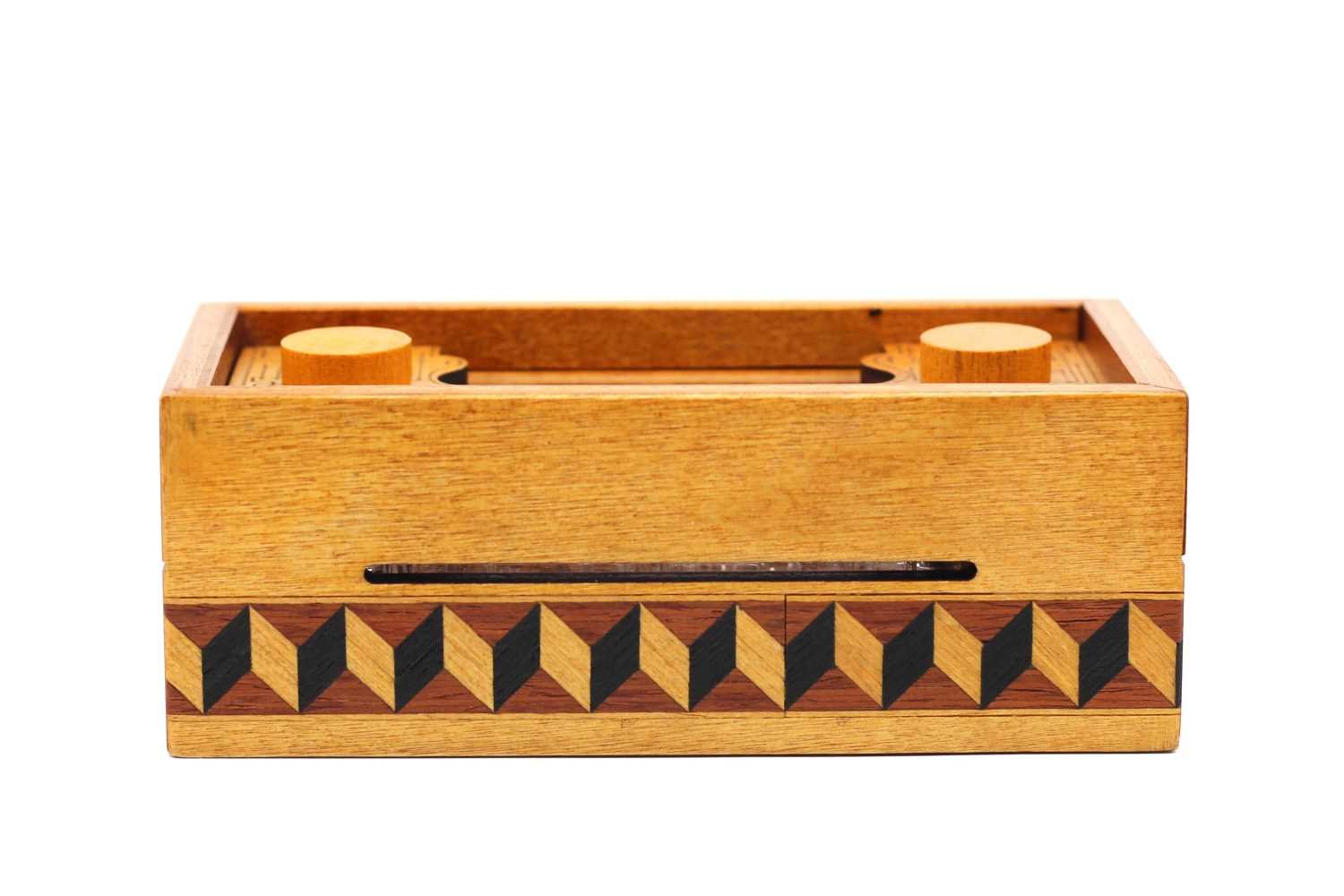 Tokyo We Have A Problem puzzle Brain Young