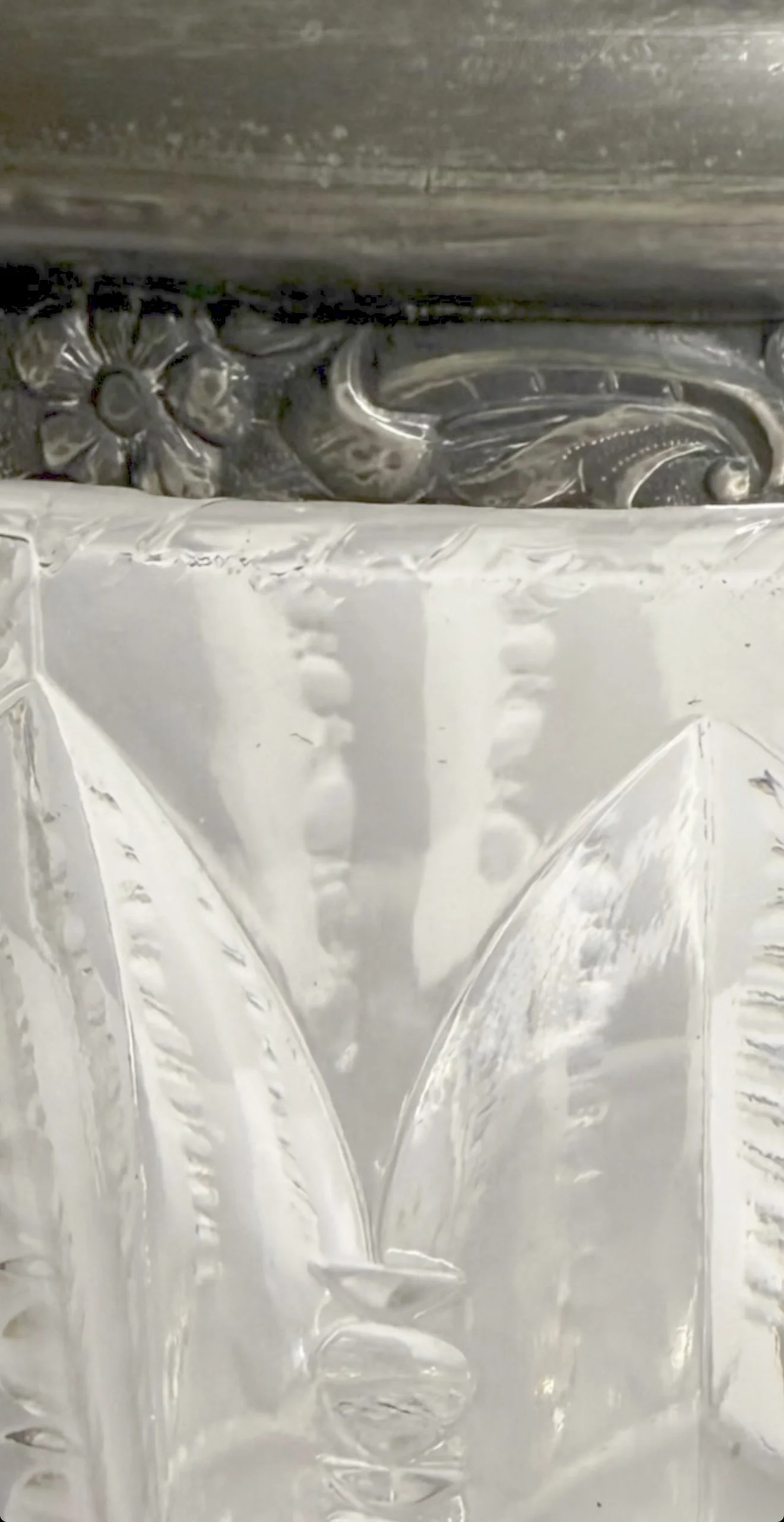 View recent photos 3 copy.jpg