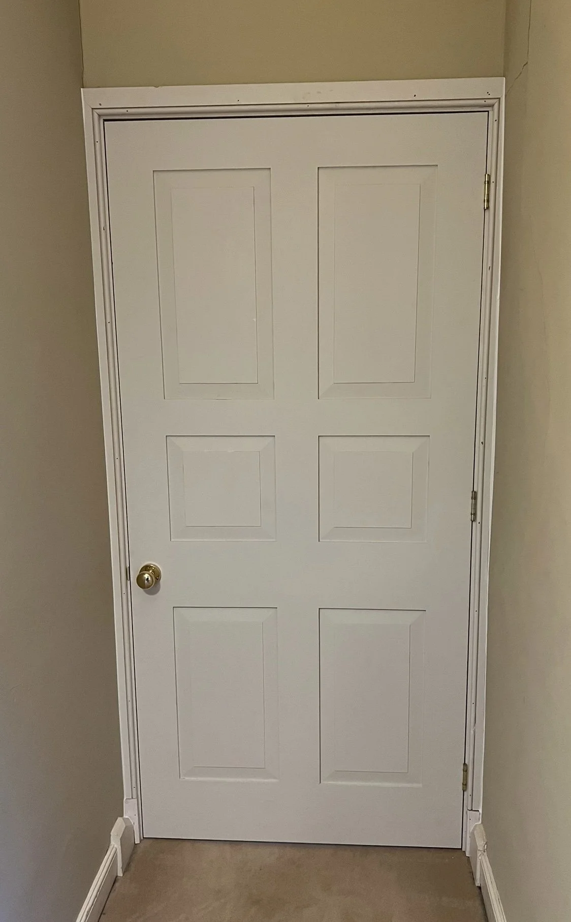 Bespoke Georgian inspired 6 panel softwood internal door with brass hardware.