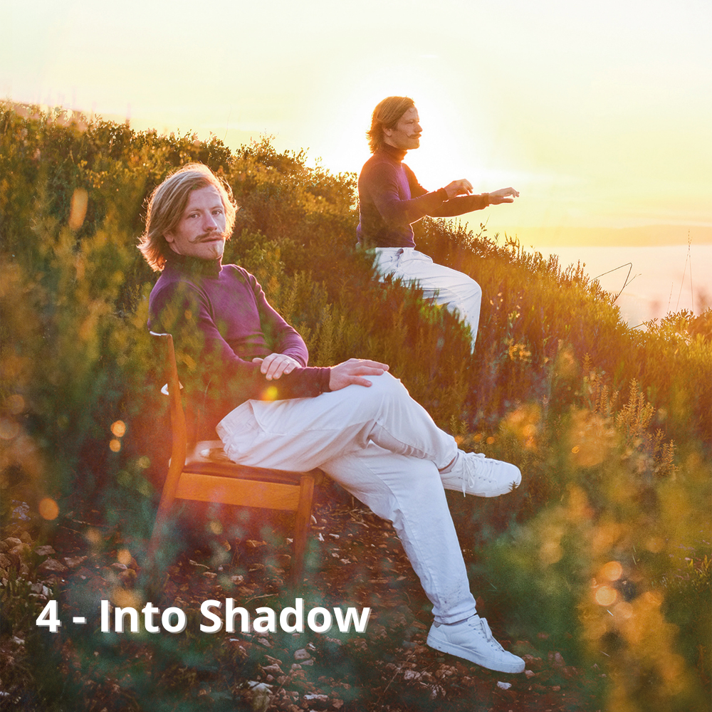 4 - Into Shadow.png
