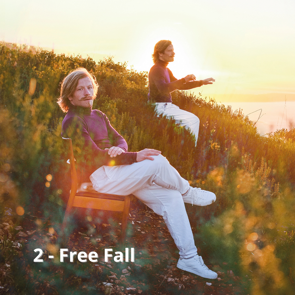 2 - Free Fall.png