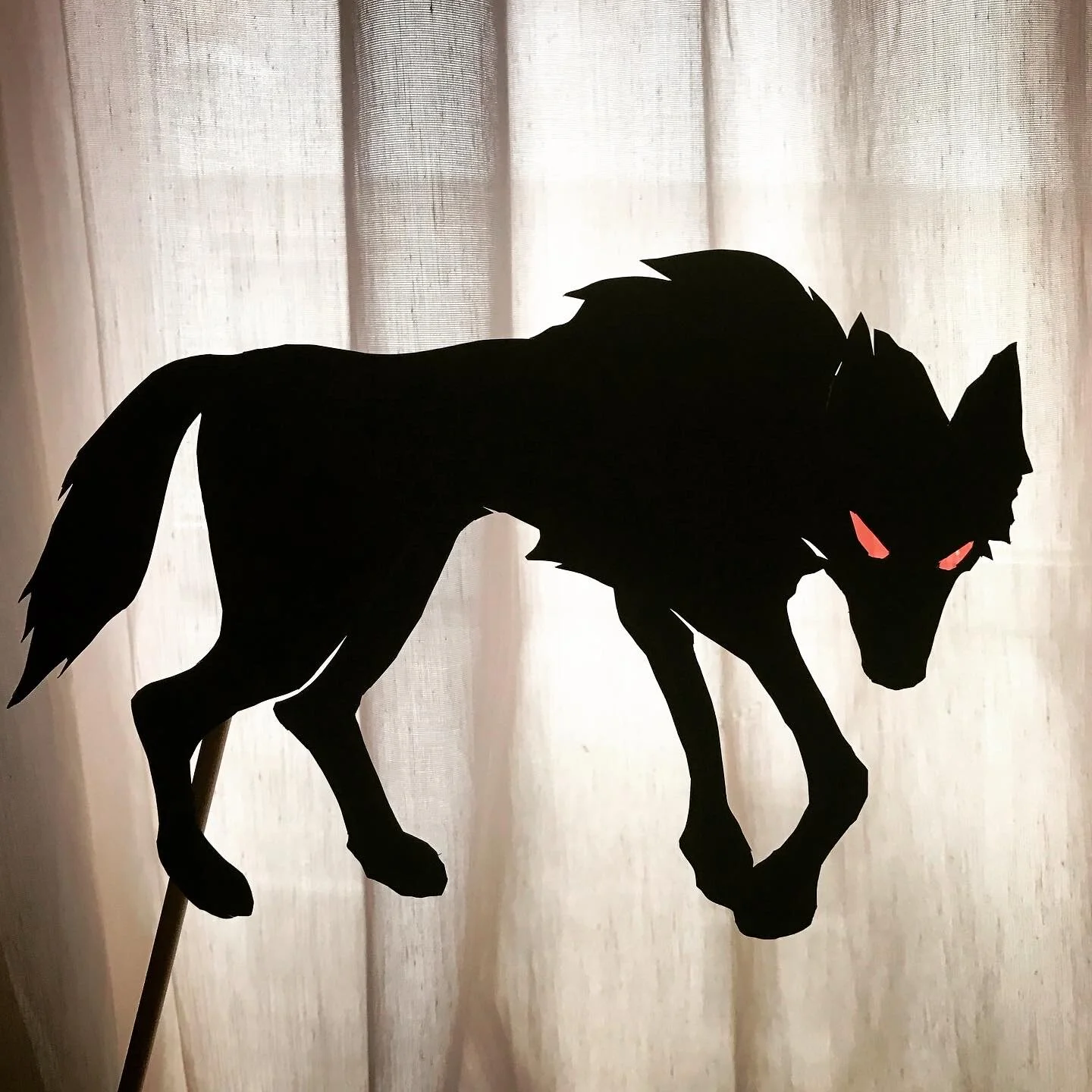 Black dog, 2019