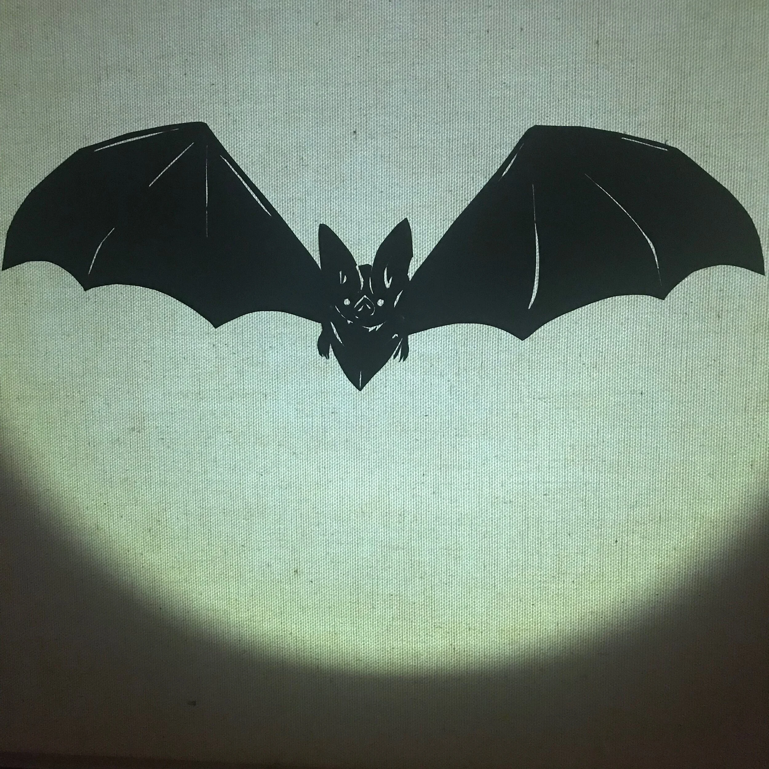 Bat, 2019