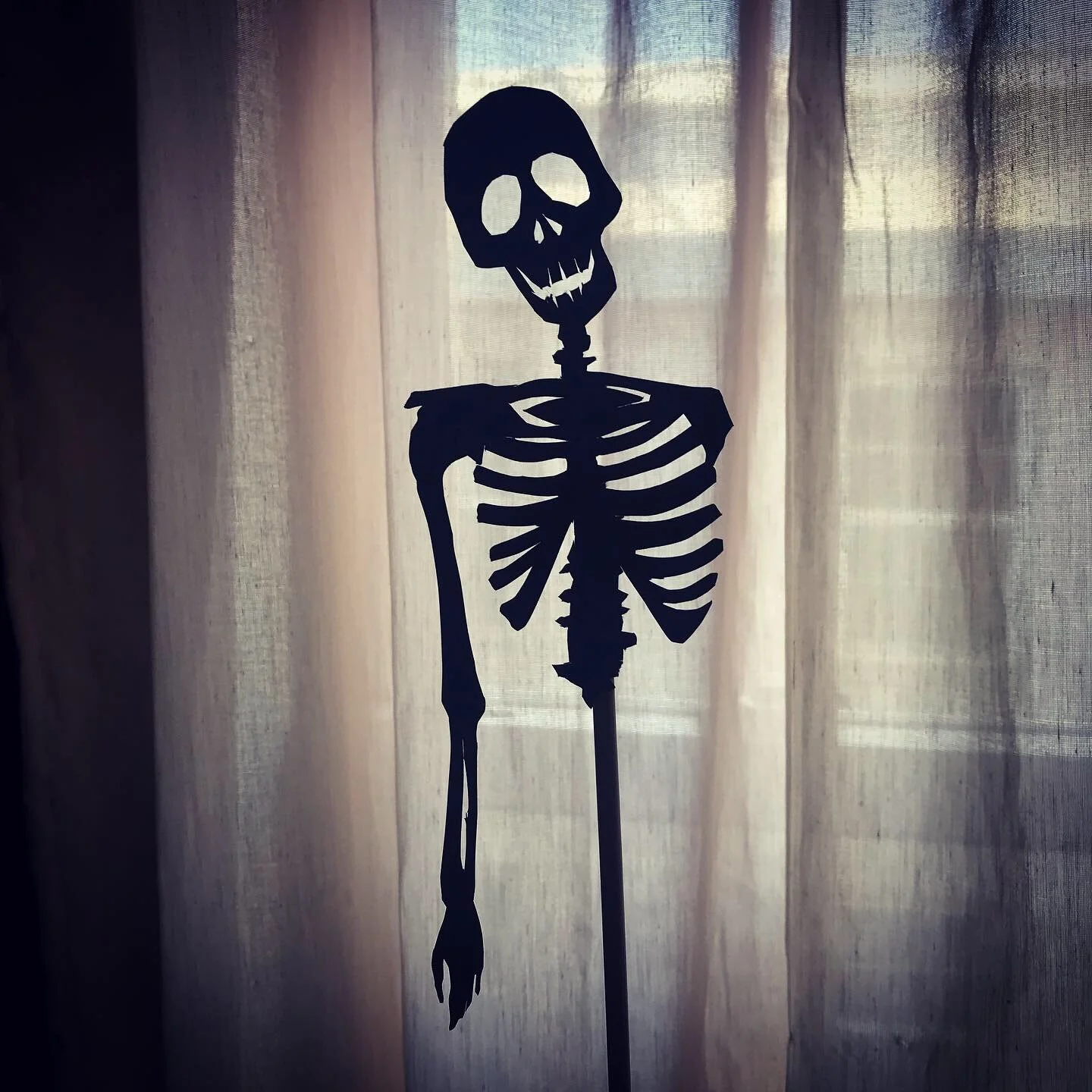 Skeleton, 2019