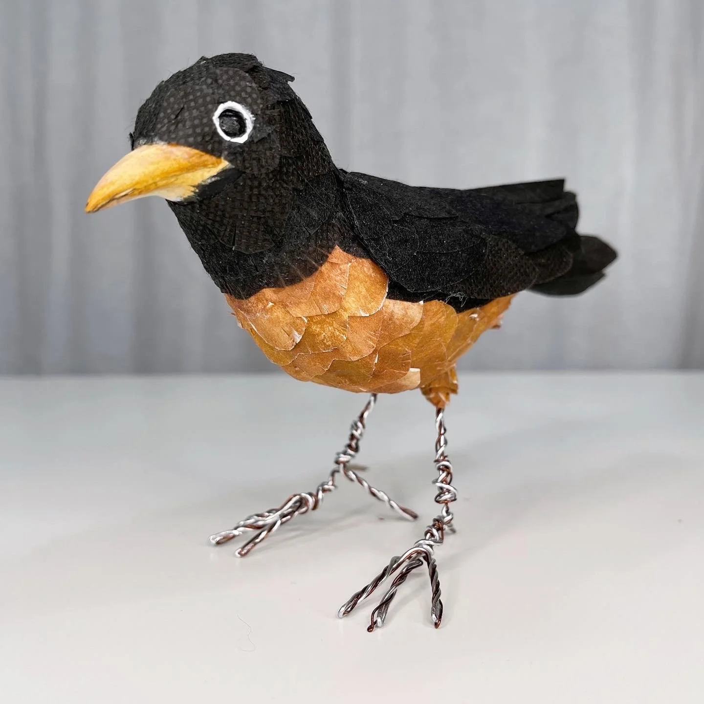 American Robin for Of a Feather, 2021.