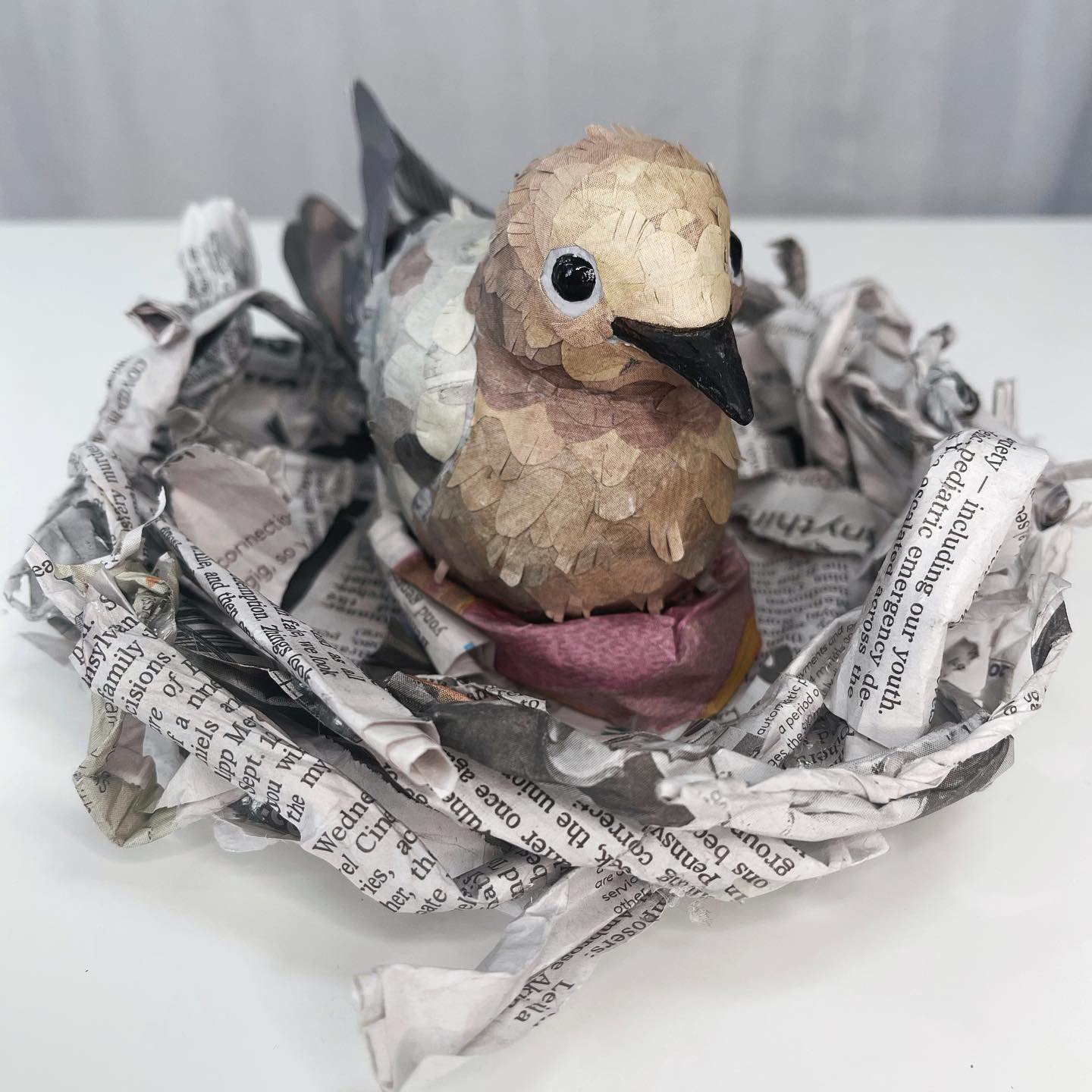 Mourning Dove for Of a Feather, 2021.