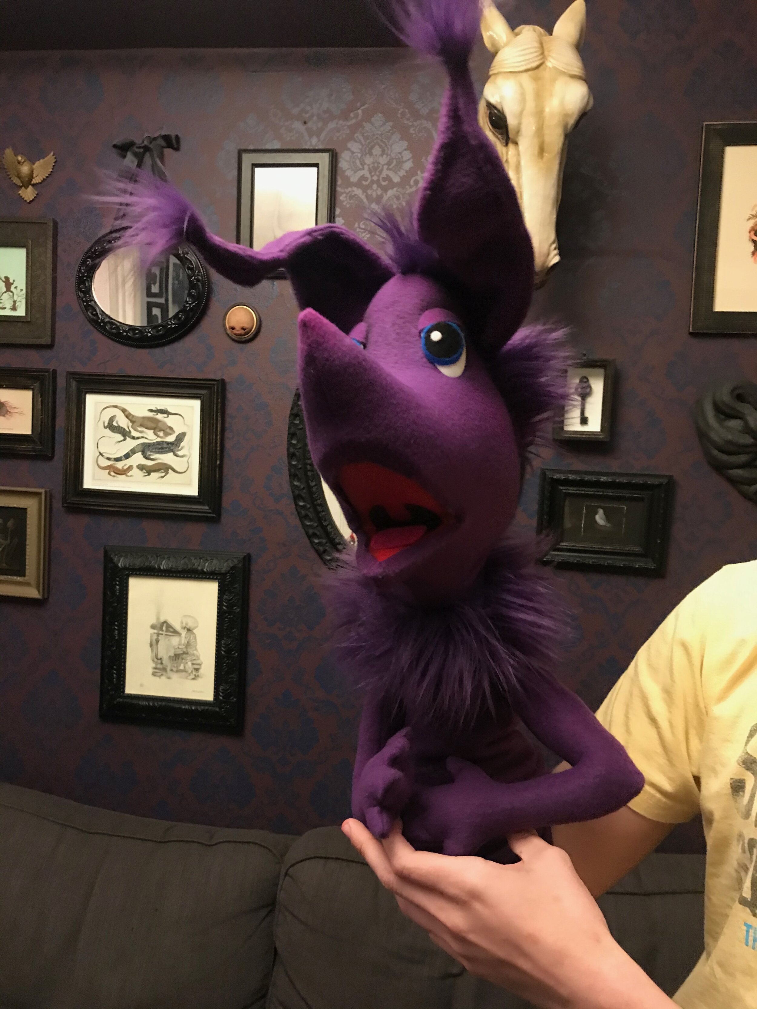 Baby Grape Kangaroo for GAMP's production of Cat in the Hat, 2020