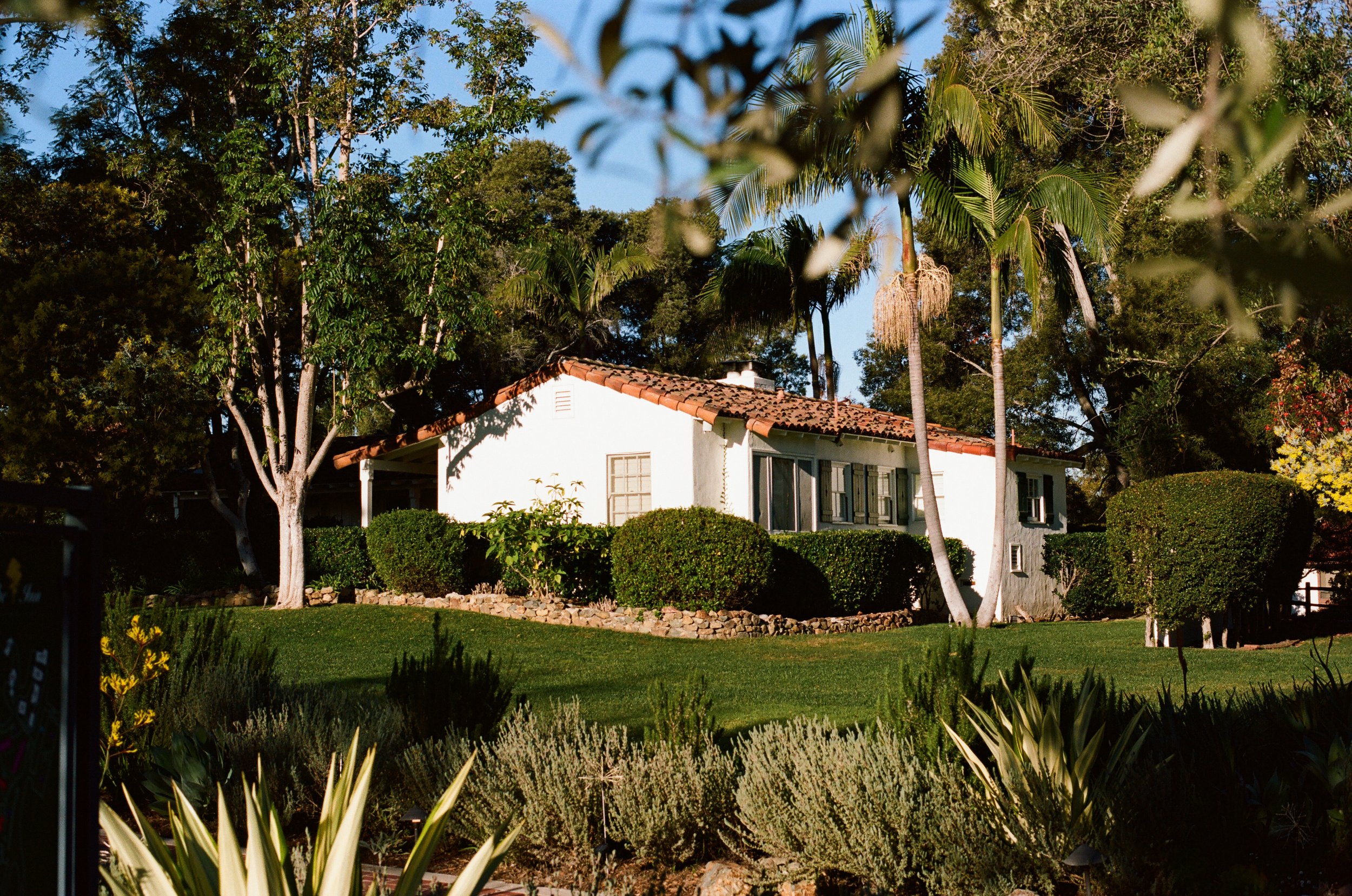 2026.1.18 Wedding Disposble Previews-08430027.jpg