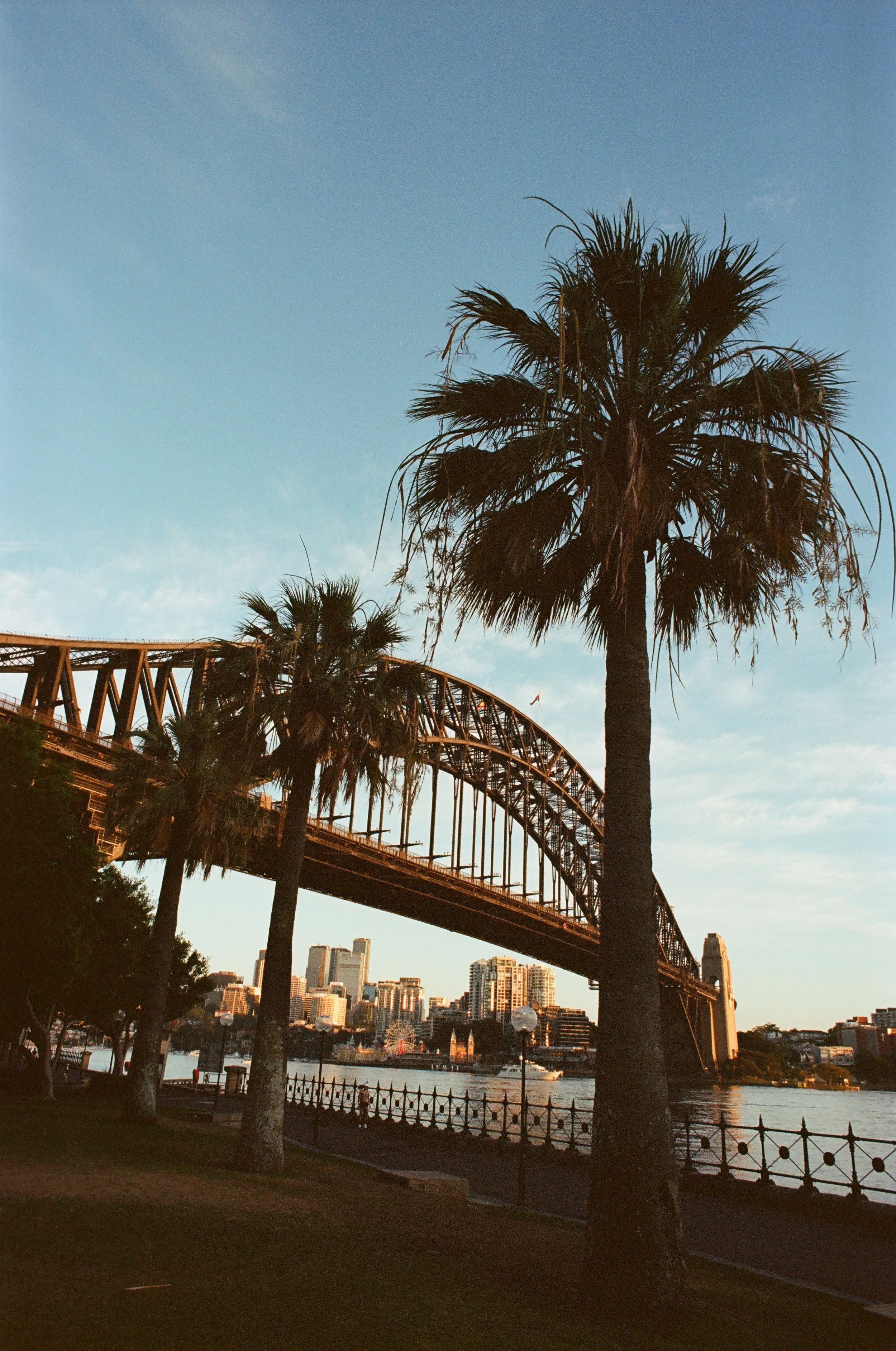 2026.1.17 HoneymoonFilm Previews-08420009.jpg