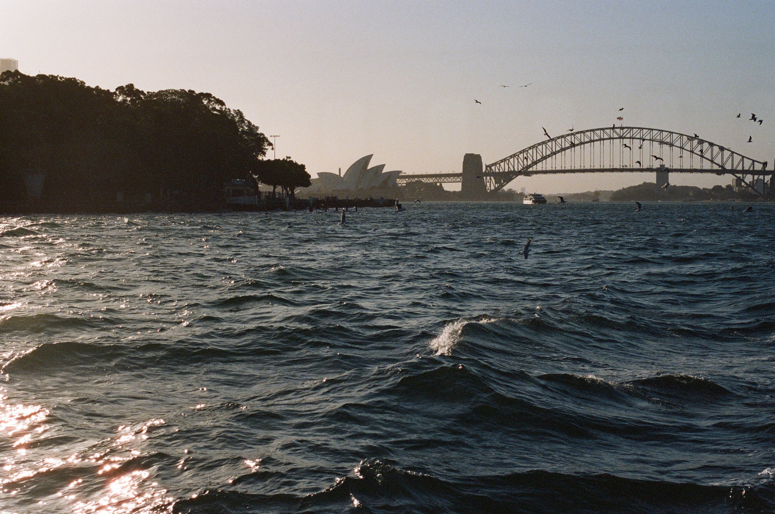 2026.1.17 HoneymoonFilm Previews-08460035.jpg