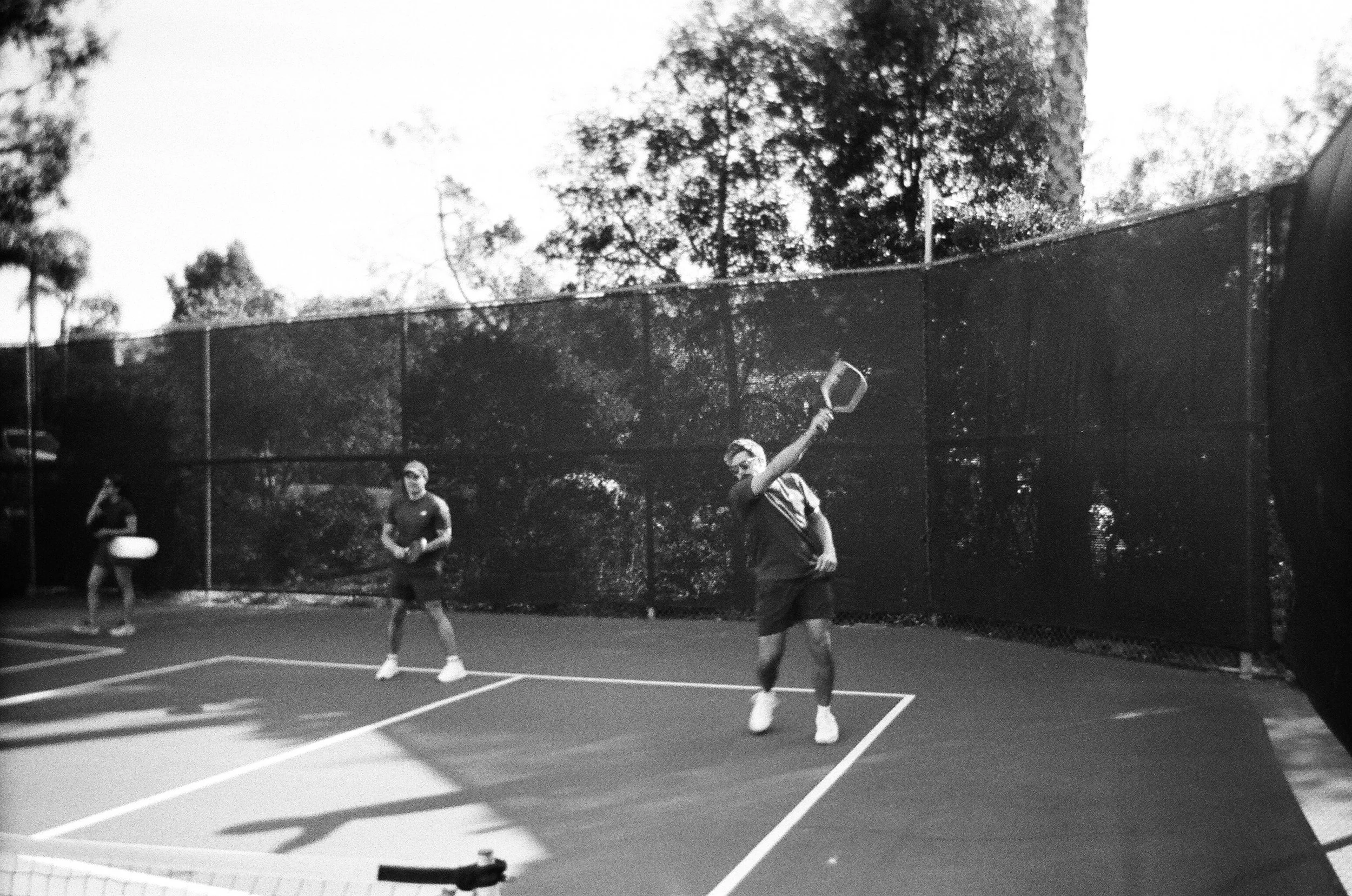 2026.1.18 Wedding Disposble Previews-08550014.jpg