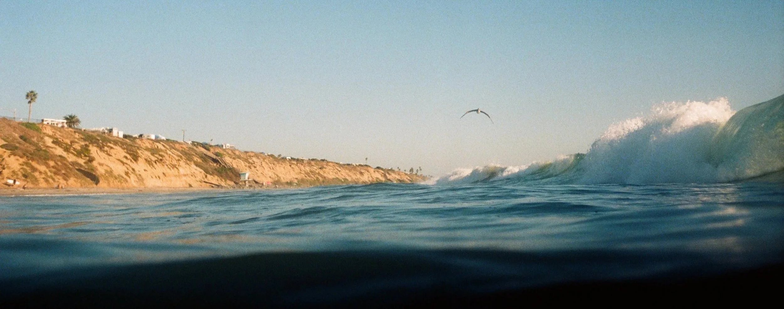 2023.9+Nikonos+Preview_web-12820034.jpg