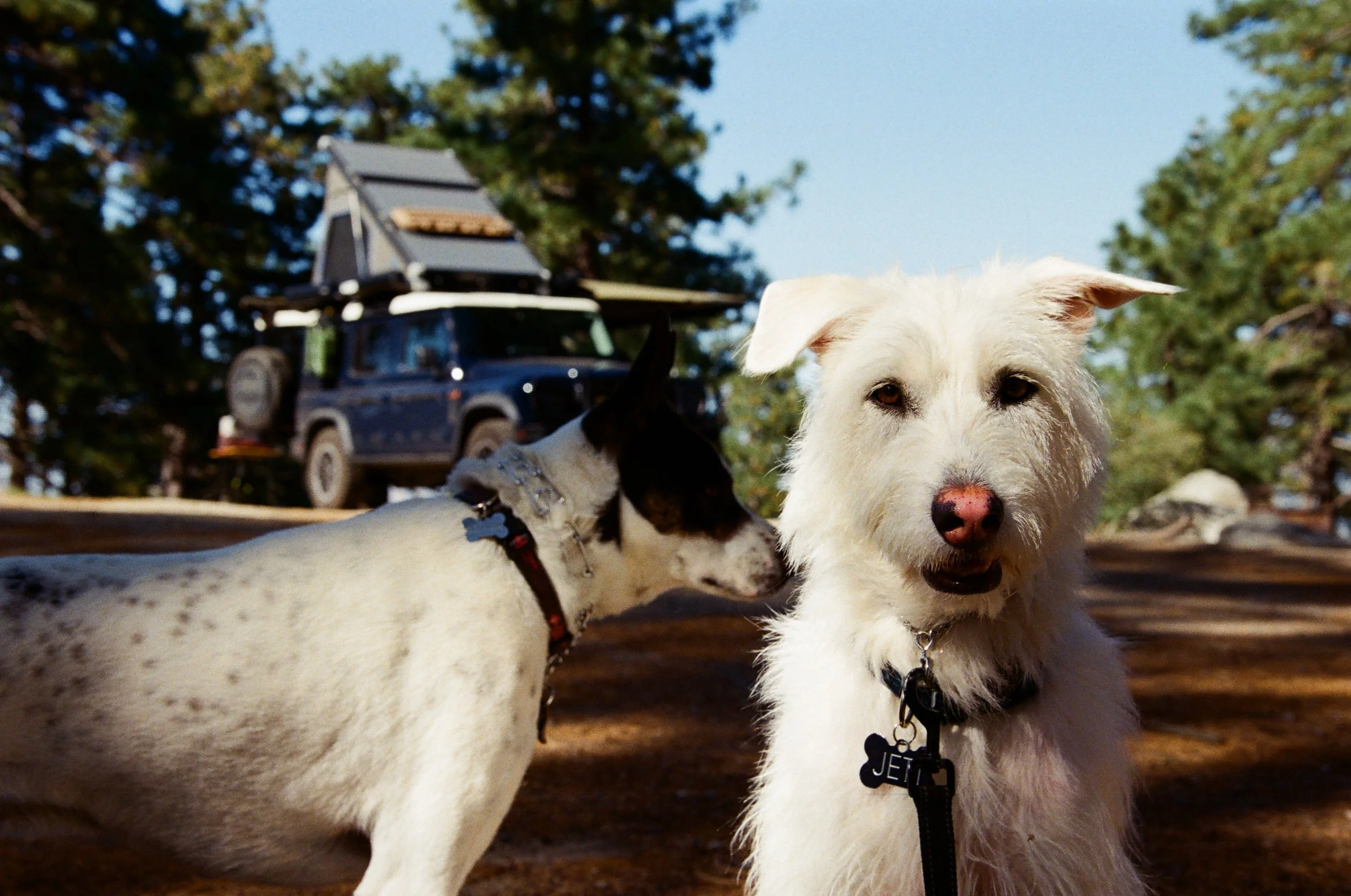 2026.4.17 Overlanding Preview_film-56820005.jpg