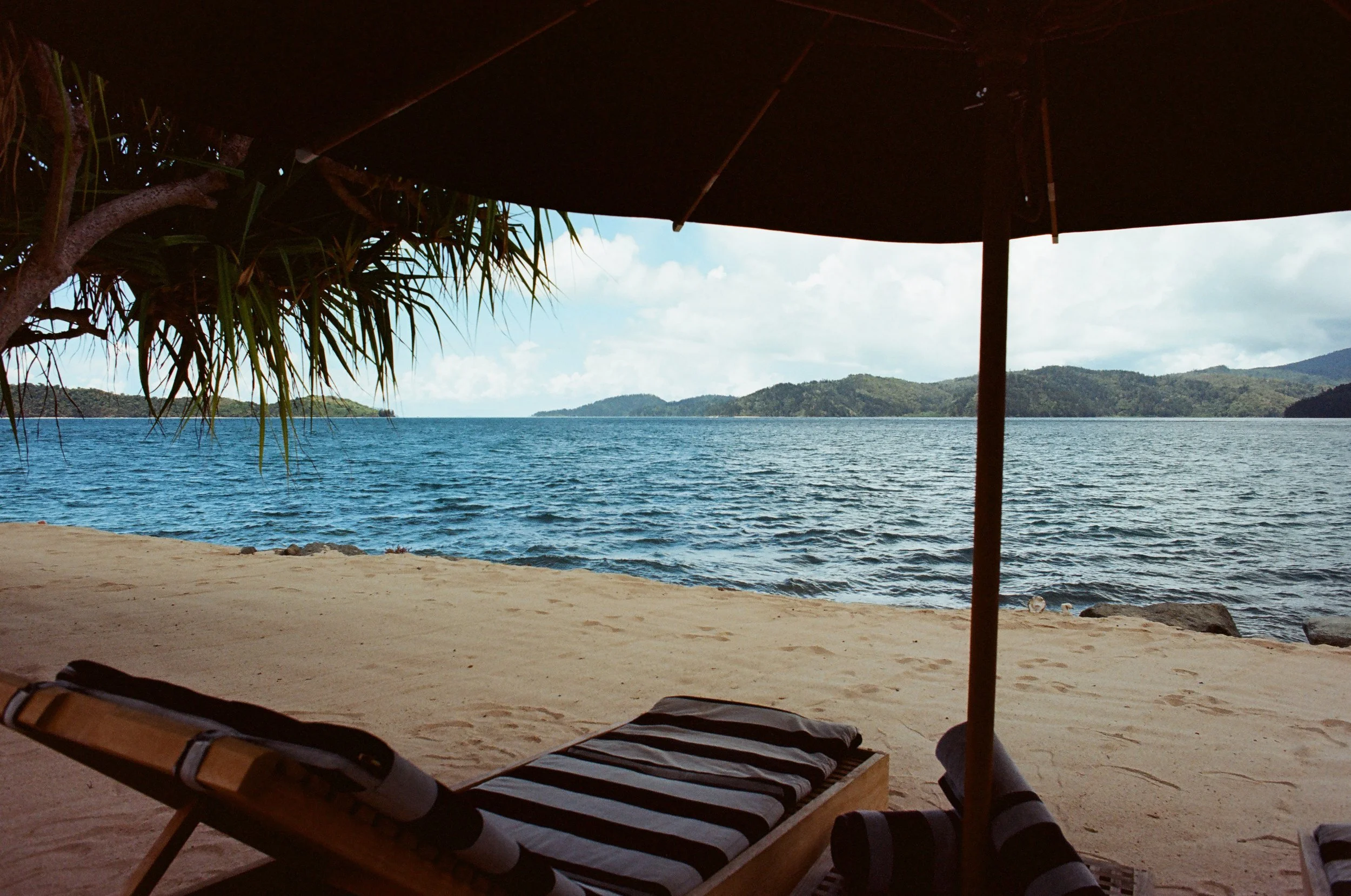 2026.1.17 HoneymoonFilm Previews-08420030.jpg