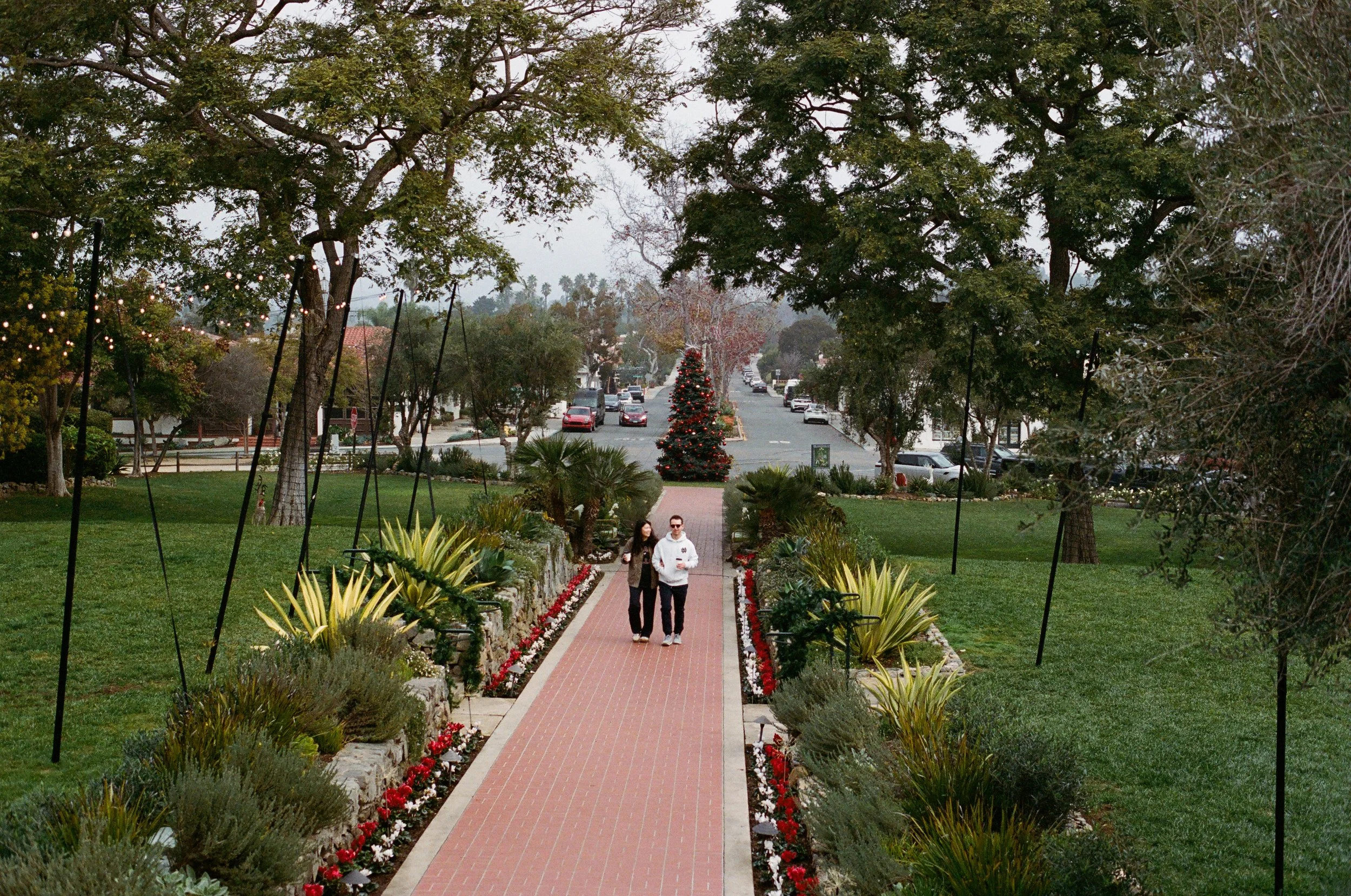 2026.1.18 Wedding Disposble Previews-08440035.jpg