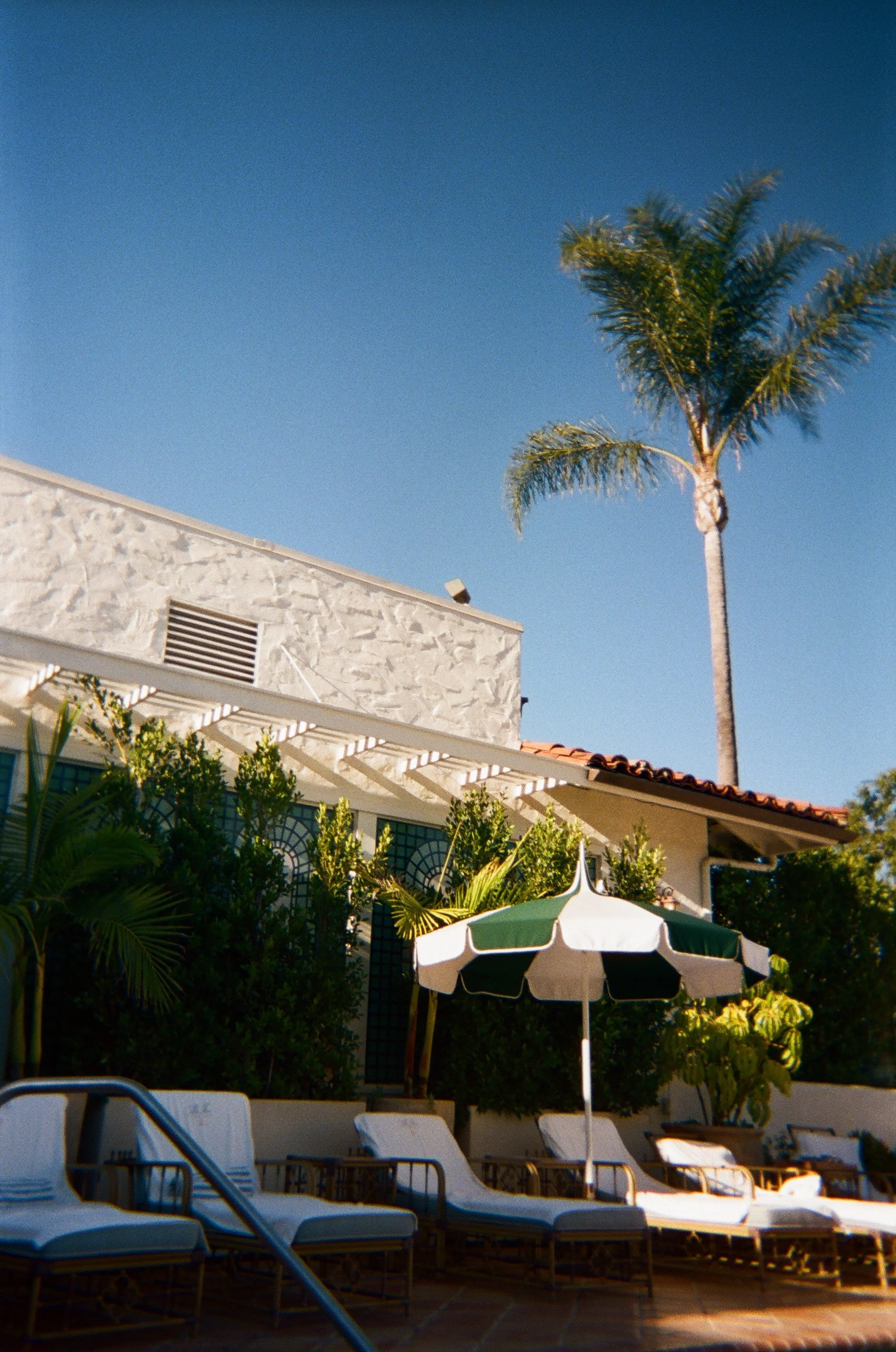 2026.1.18 Wedding Disposble Previews-08480020.jpg