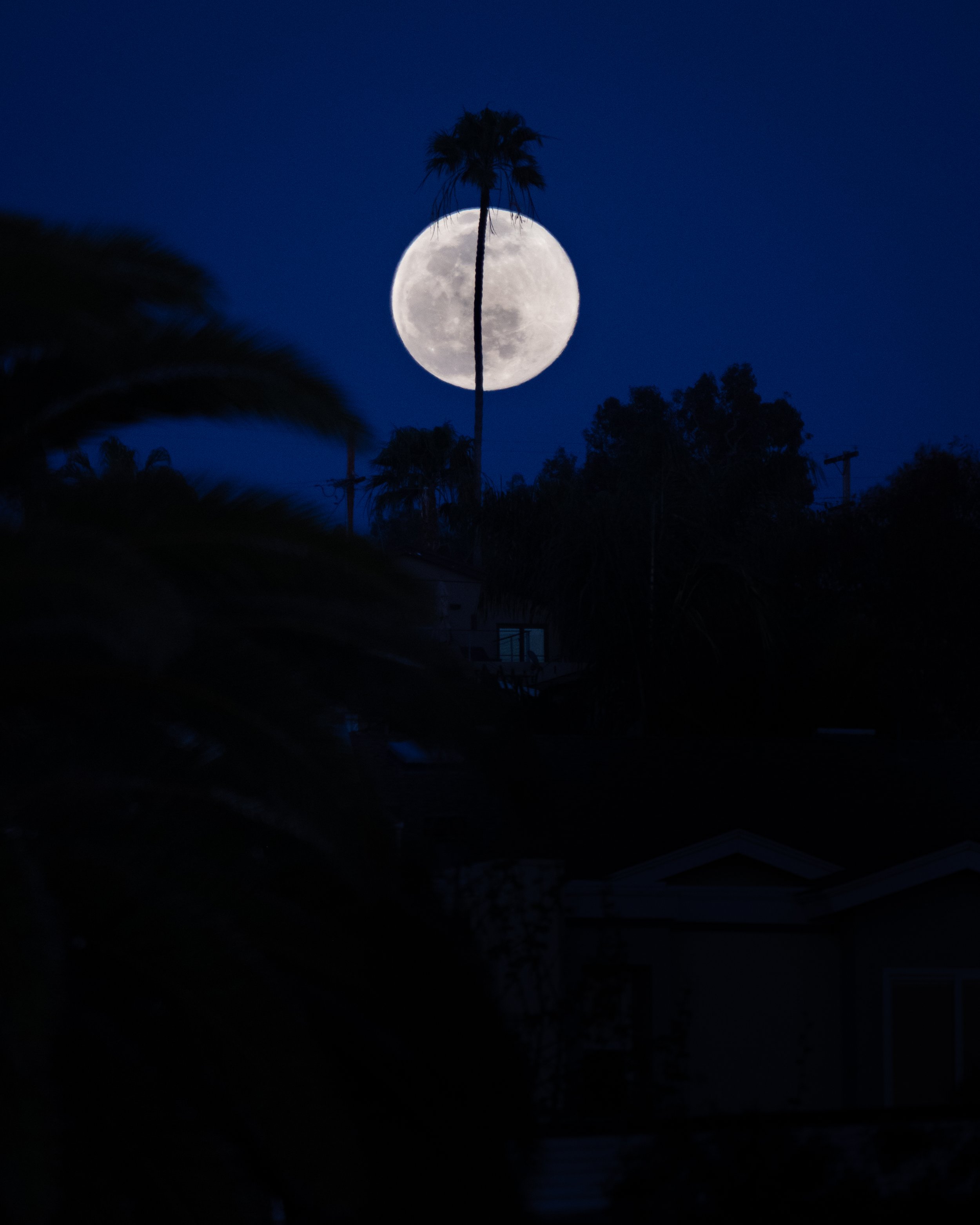 Cardiff Moonrise IG Posts-1-2.jpg