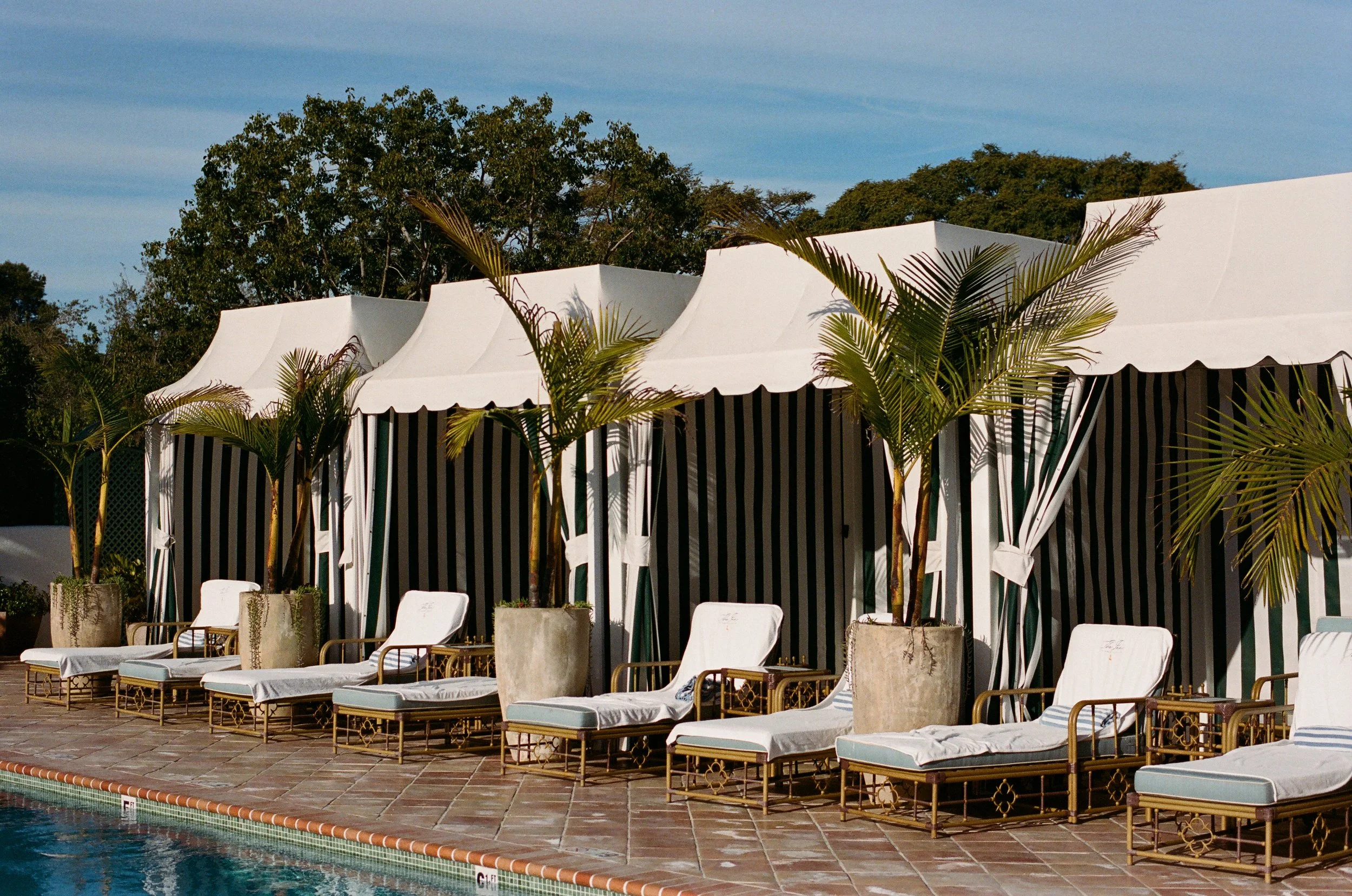 2026.1.18 Wedding Disposble Previews-08440002.jpg