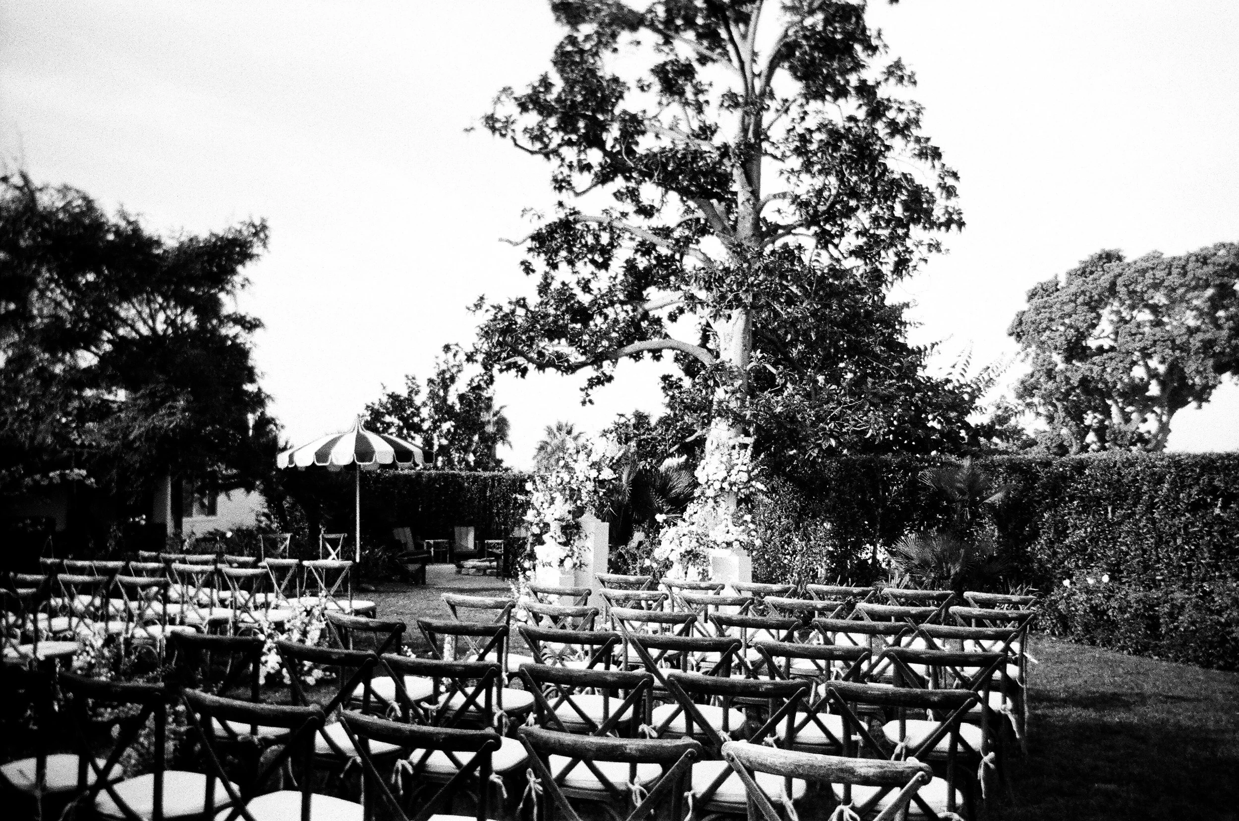 2026.1.18 Wedding Disposble Previews-08530021.jpg