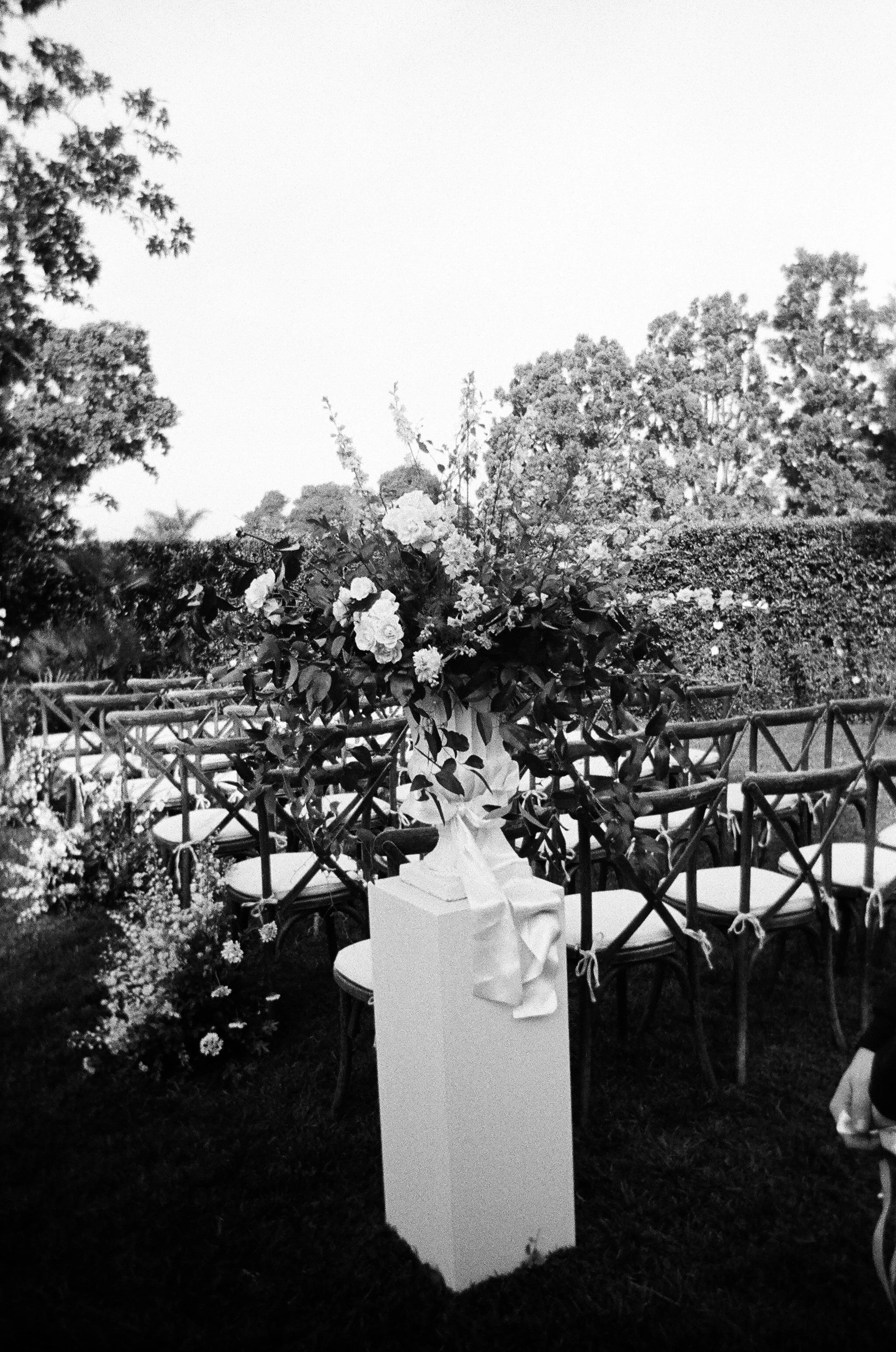 2026.1.18 Wedding Disposble Previews-08530023.jpg