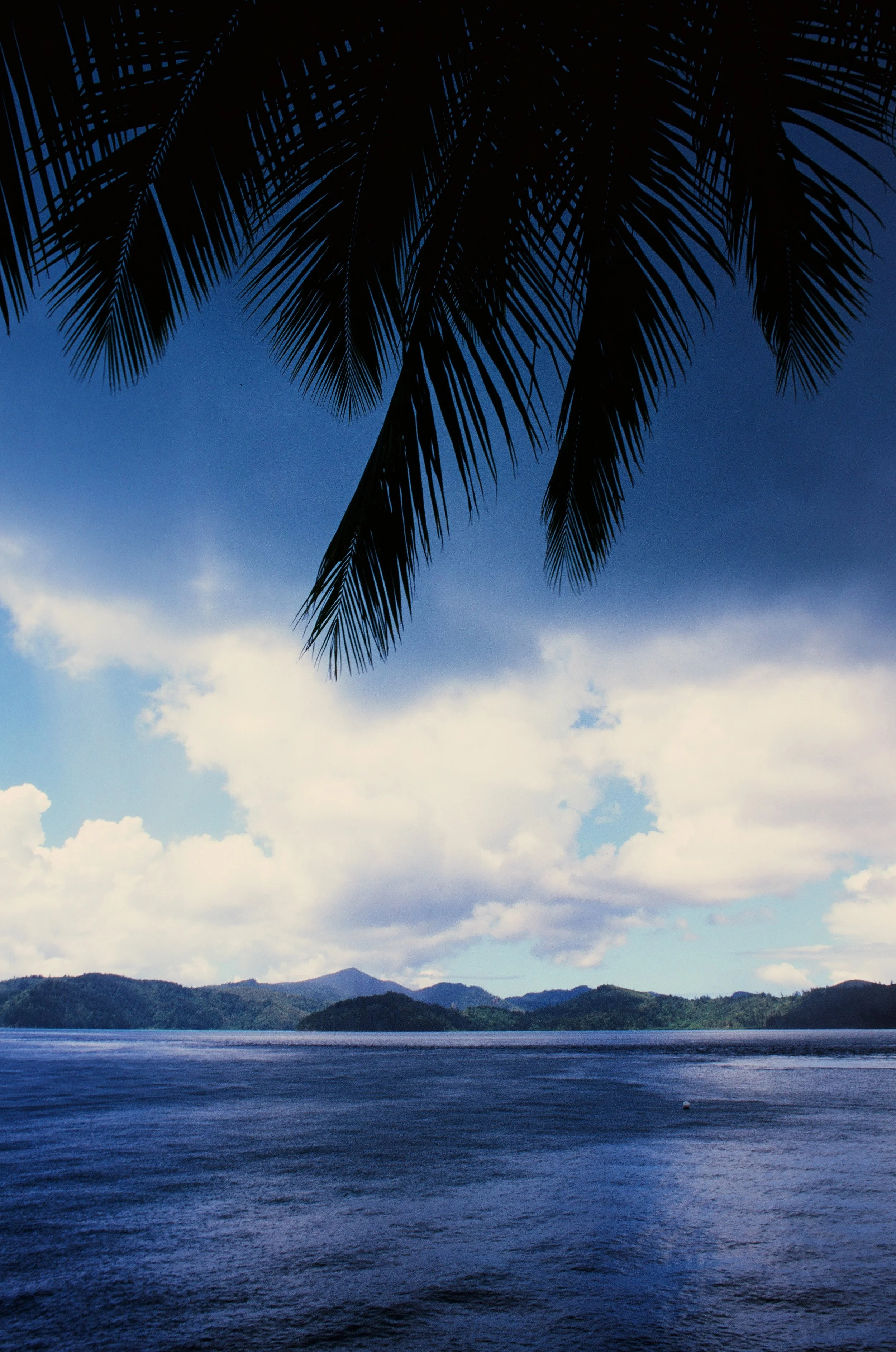 2026.1.17 HoneymoonFilm Previews-08470005.jpg