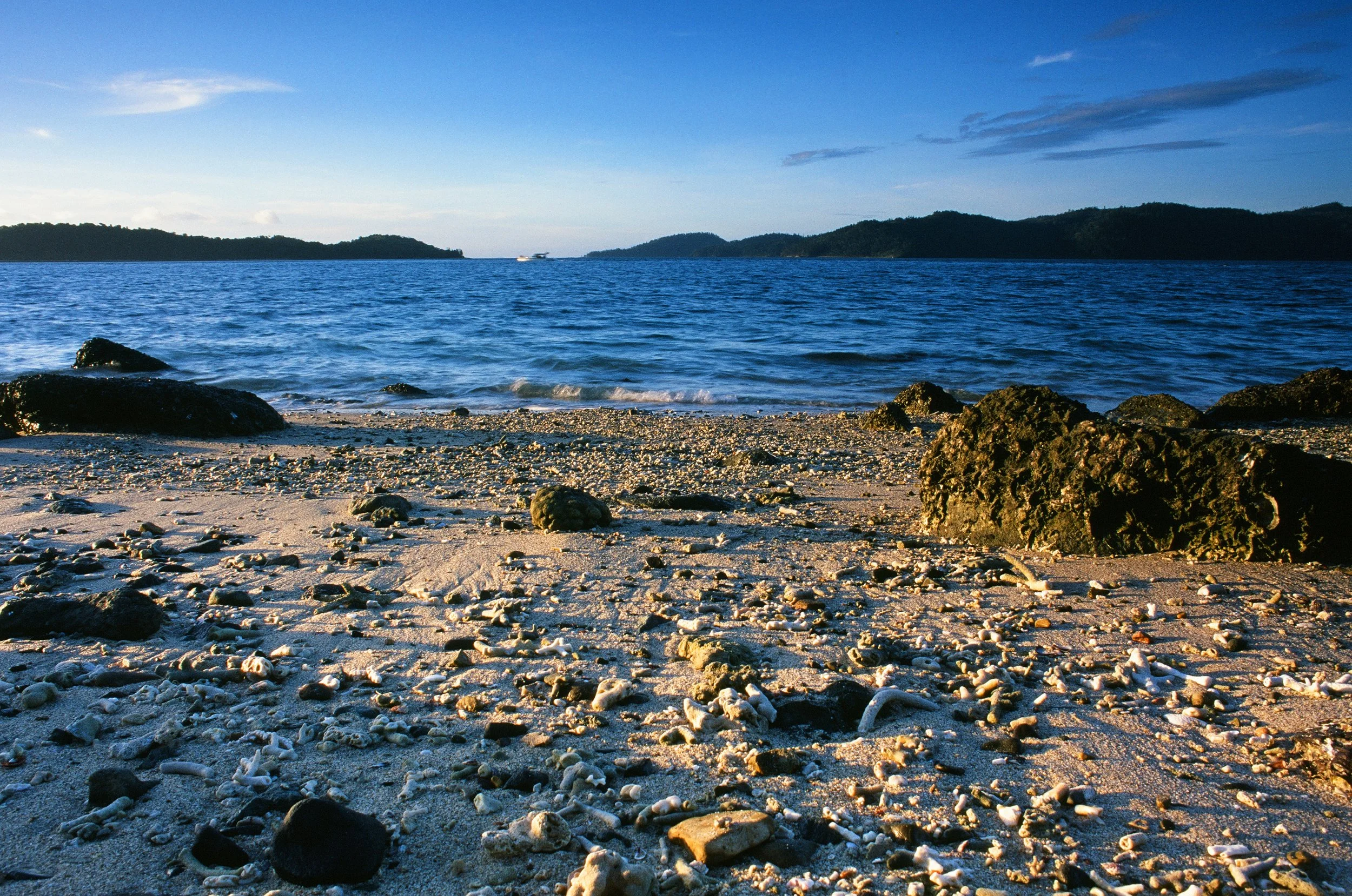 2026.1.17 HoneymoonFilm Previews-08470017.jpg