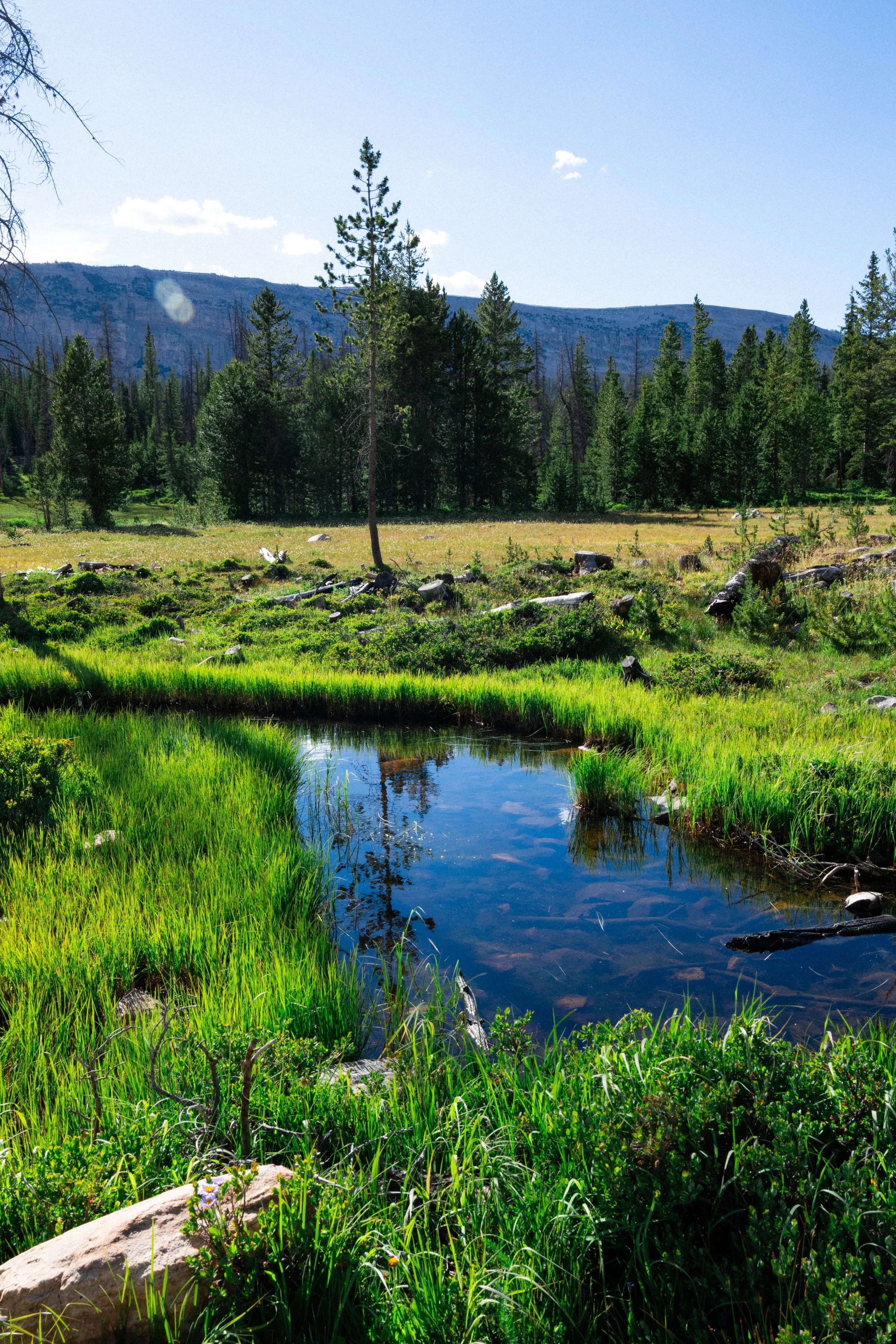2026.7.9 Utah Camping Exports_preview-4707.jpg