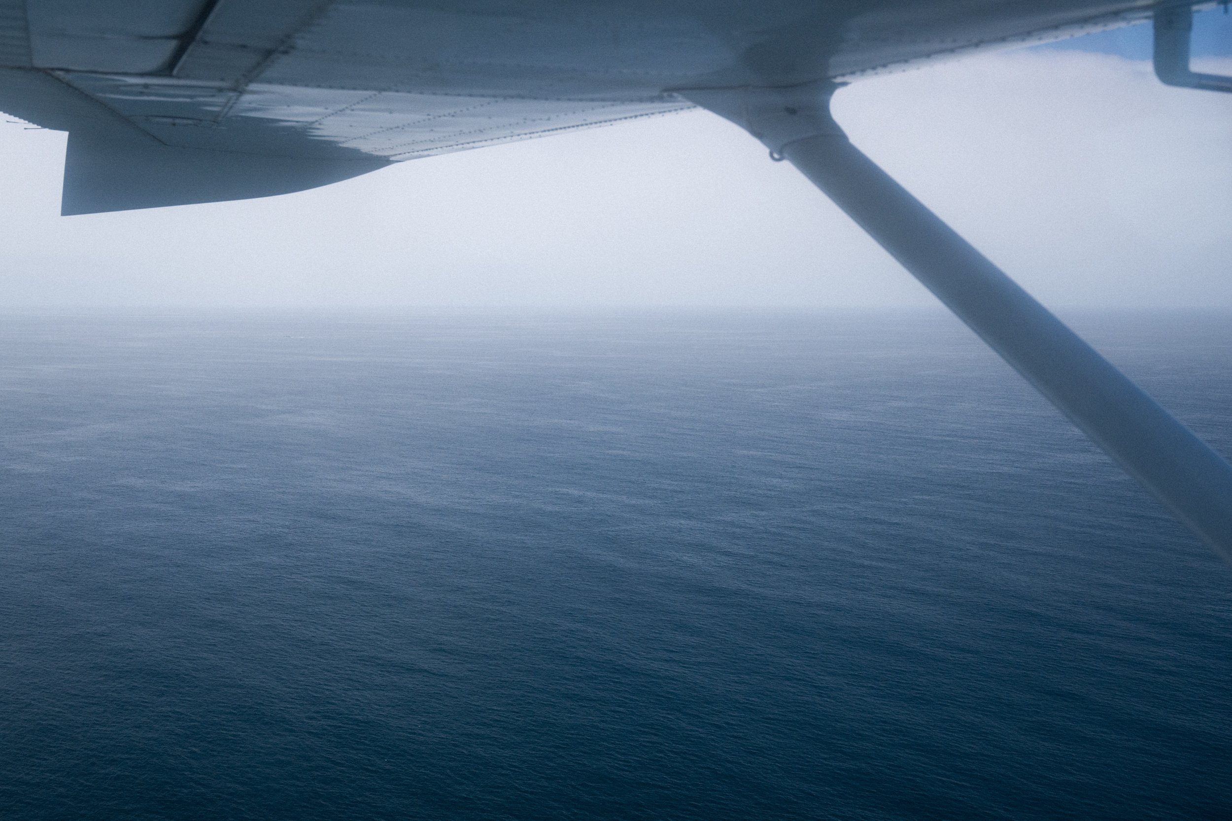 2026.6.7 SD Flight w Mike_Preview-3869.jpg