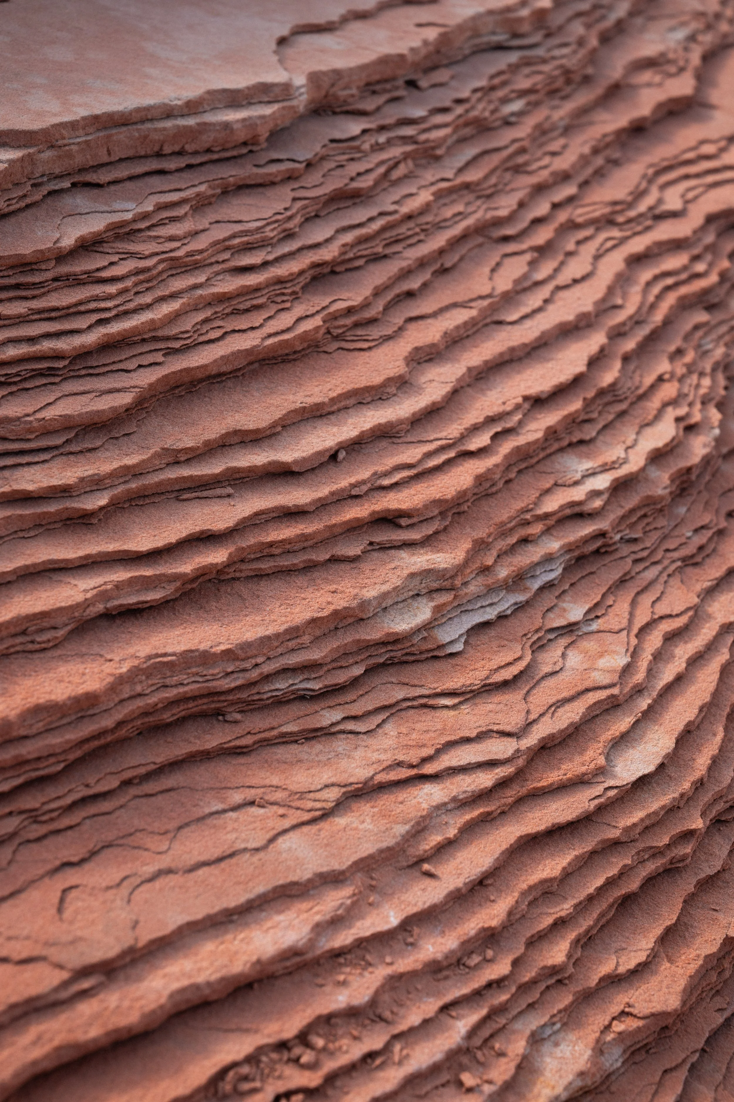 2025.7 MOAB_Preview-1647.jpg