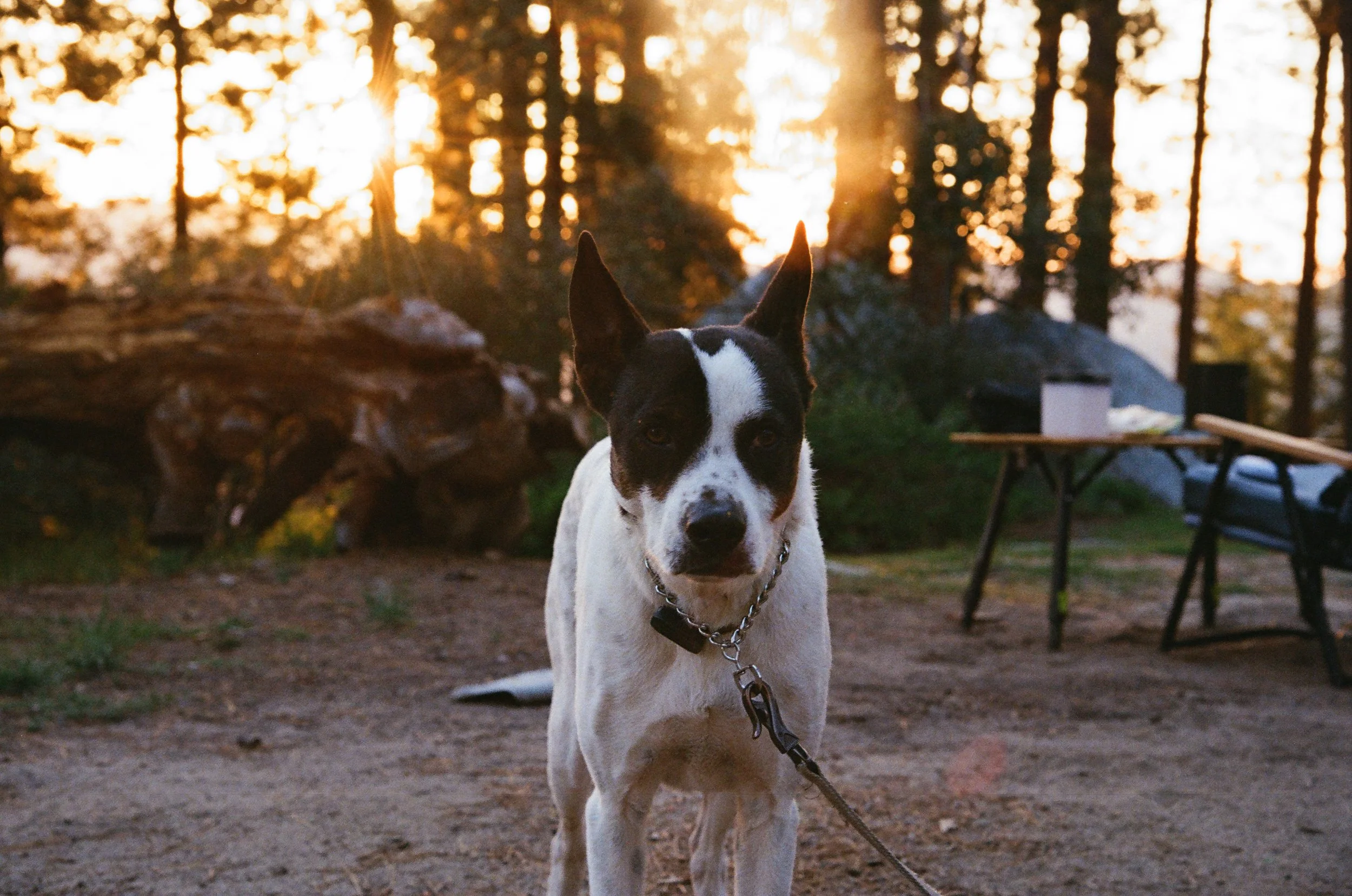2026.4.17 Overlanding Preview_film-56820015.jpg