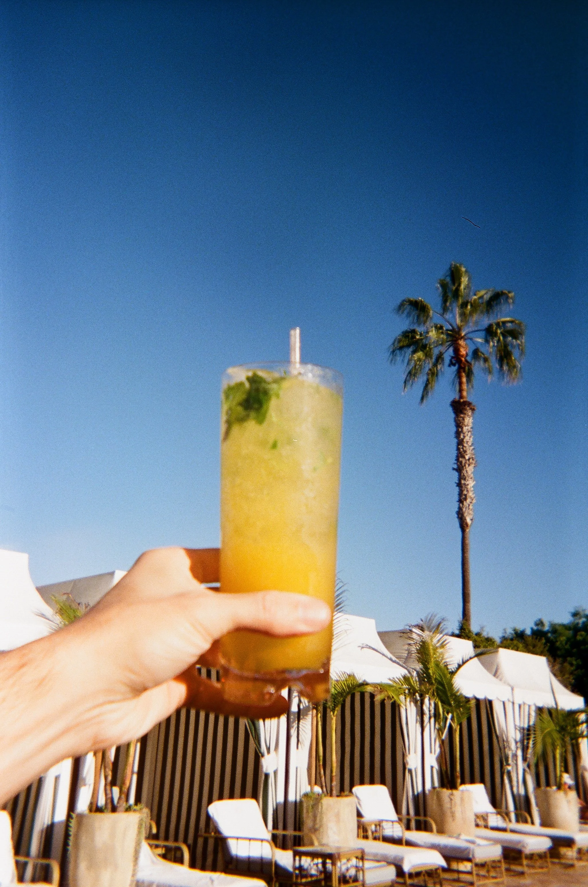 2026.1.18 Wedding Disposble Previews-08480019.jpg