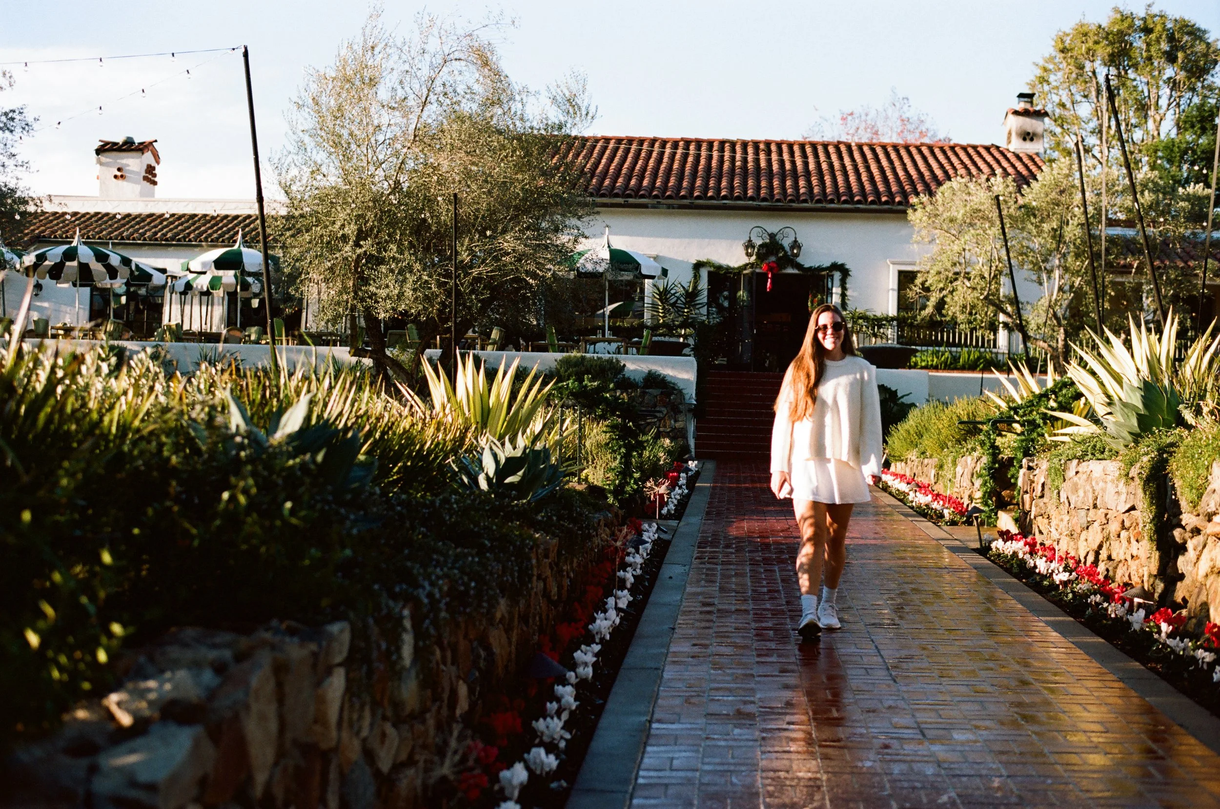 2026.1.18 Wedding Disposble Previews-08430026.jpg