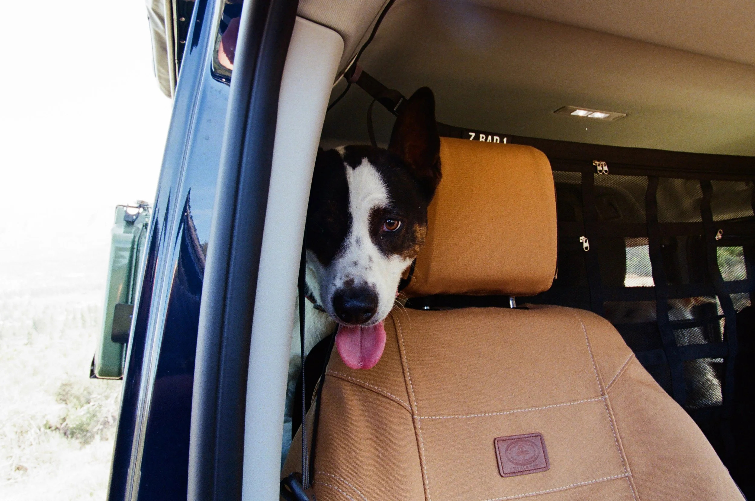 2026.4.17 Overlanding Preview_film-56820030.jpg