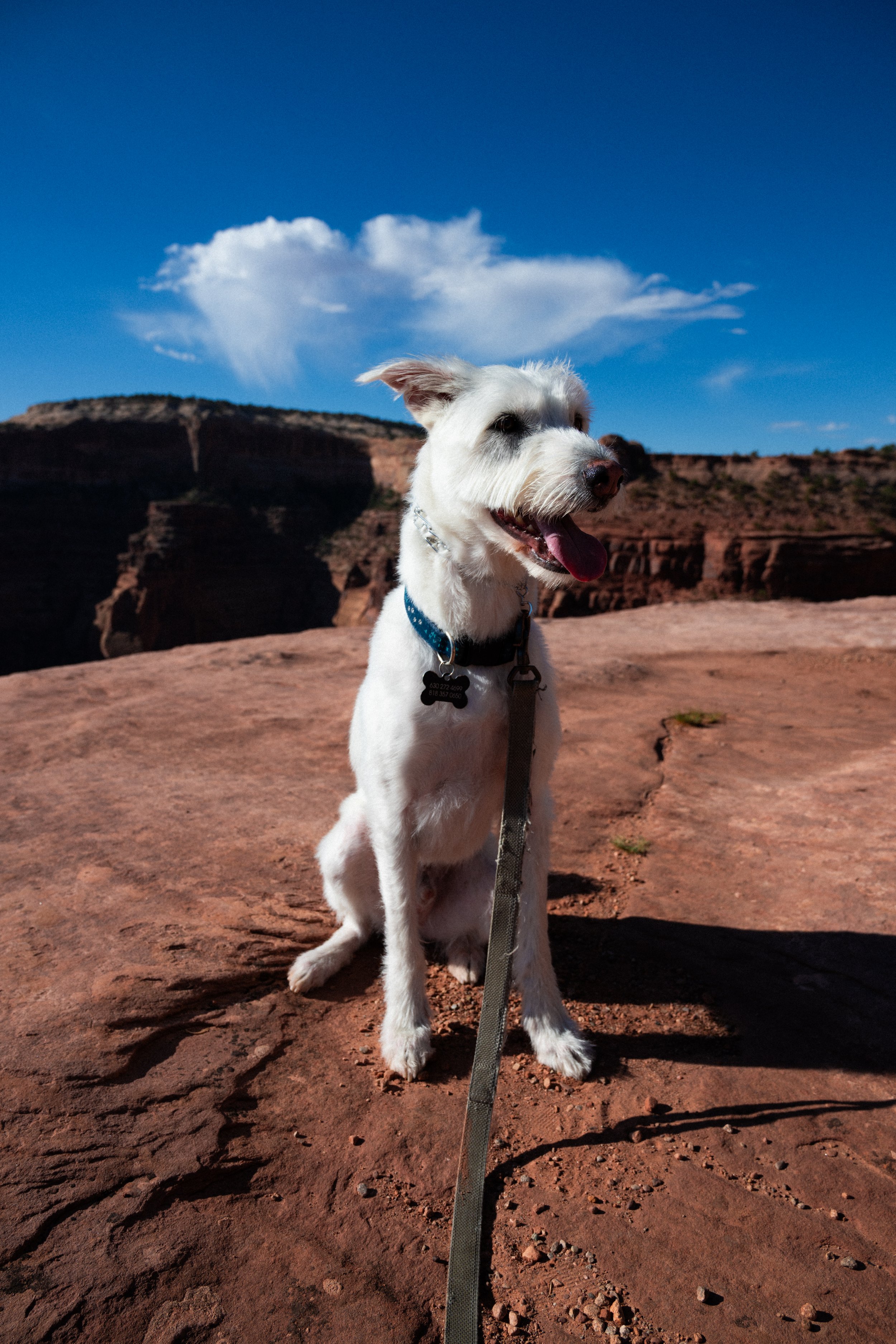 2026.8.22 Moab and Vail Preview-5487.jpg