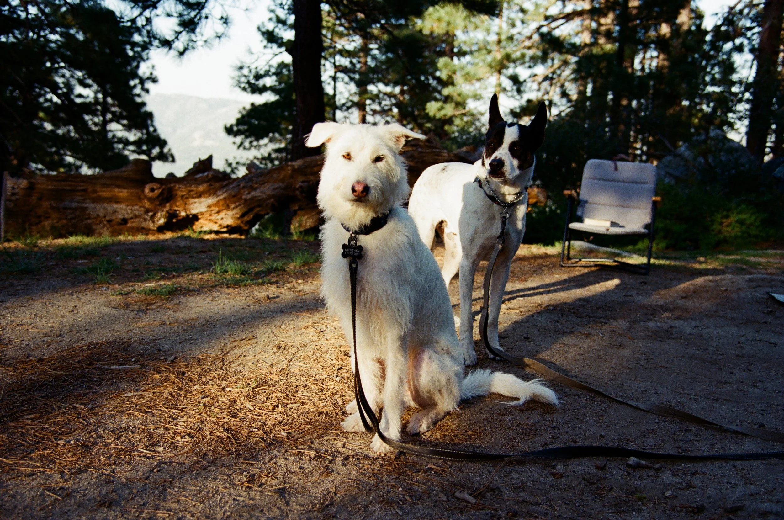 2026.4.17 Overlanding Preview_film-56820013.jpg