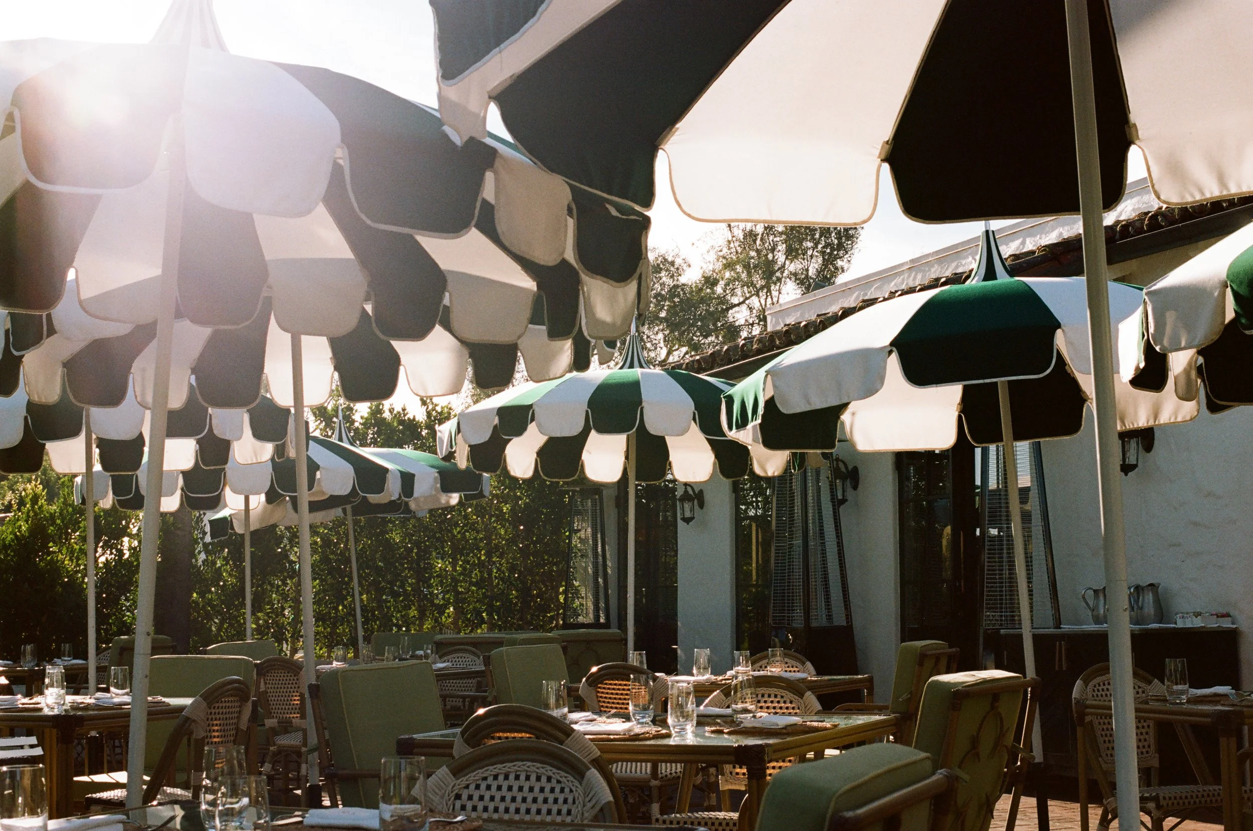 2026.1.18 Wedding Disposble Previews-08430032.jpg