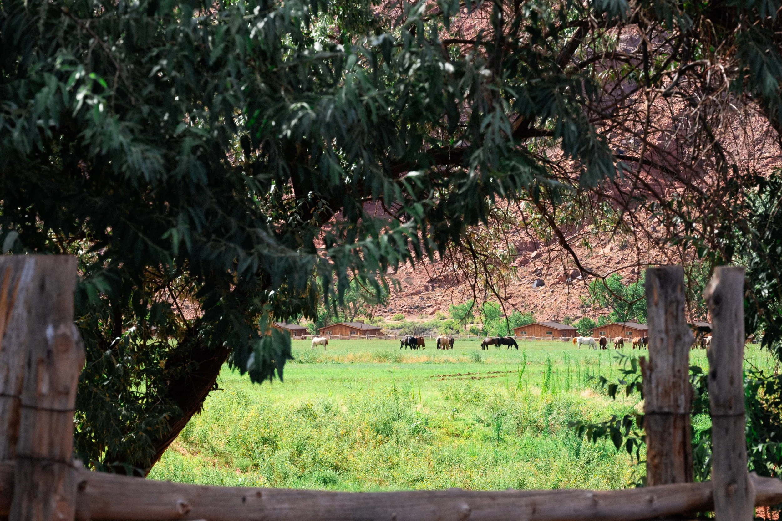 2025.7 MOAB_Preview-2150.jpg