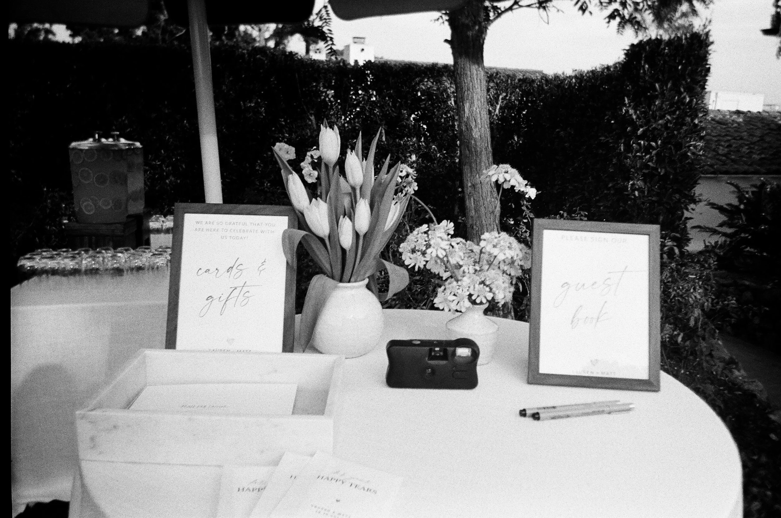 2026.1.18 Wedding Disposble Previews-08530024.jpg