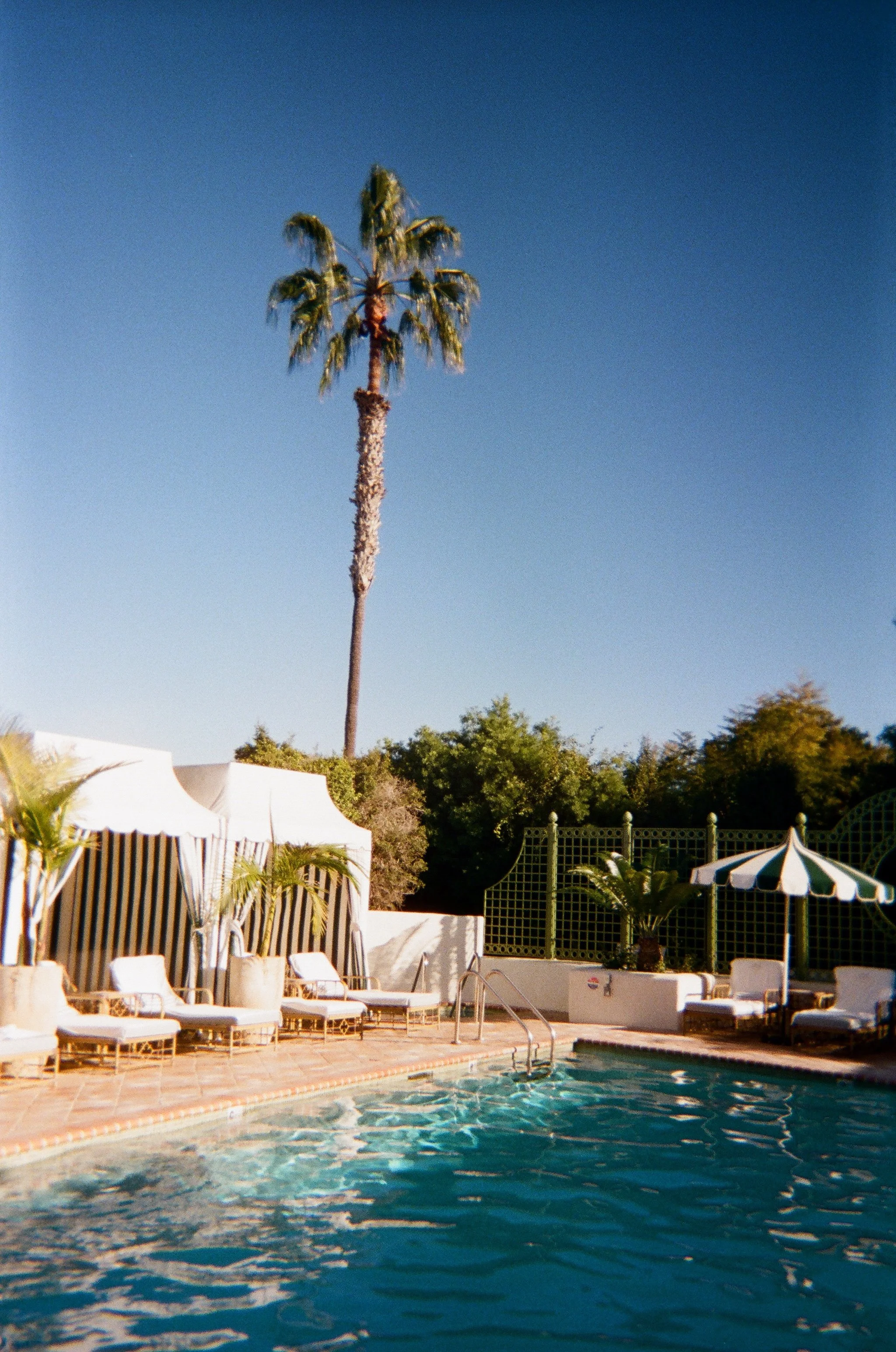 2026.1.18 Wedding Disposble Previews-08480023.jpg