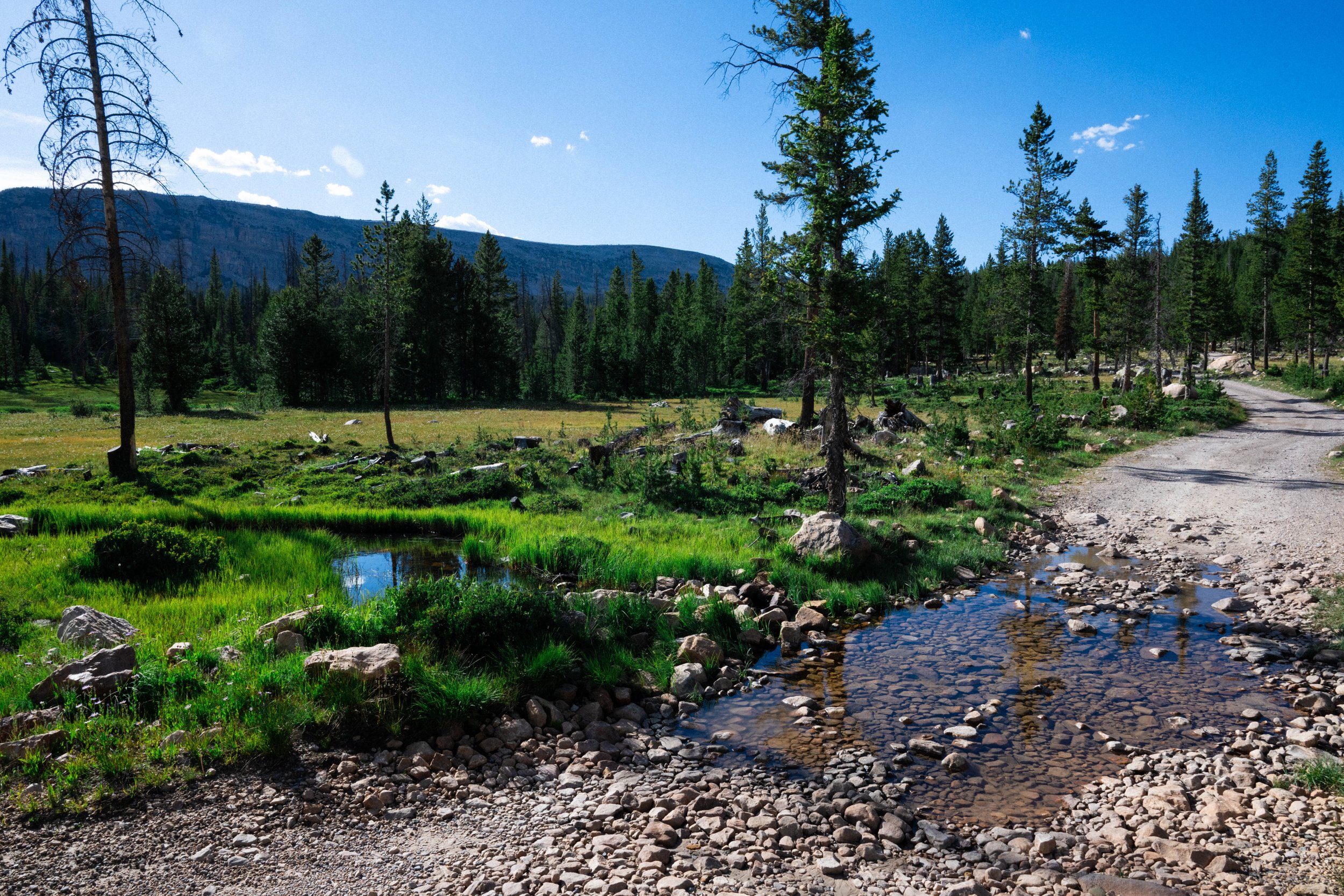 2026.7.9 Utah Camping Exports_preview-4698.jpg