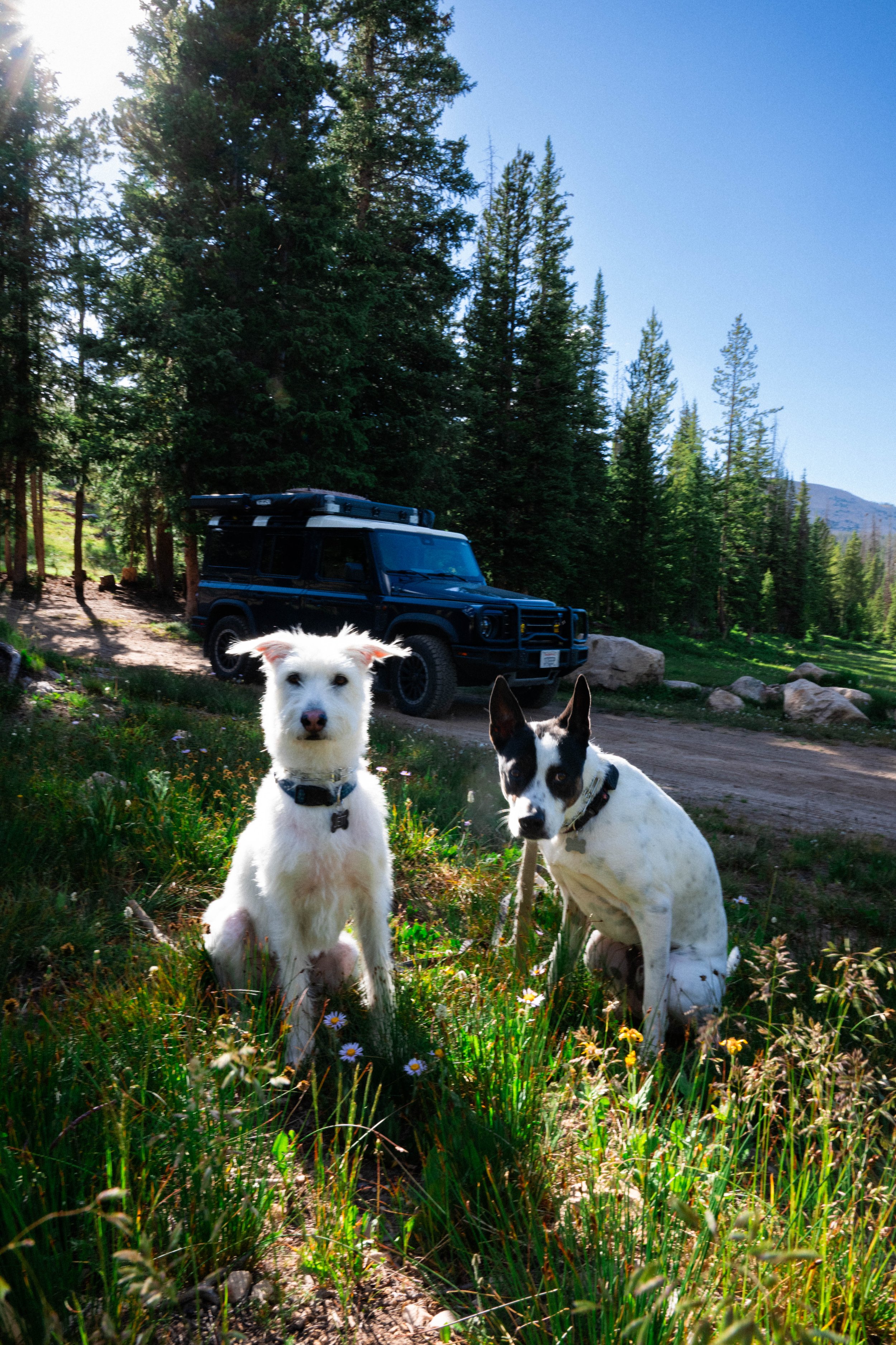 2026.7.9 Utah Camping Exports_preview-4718.jpg