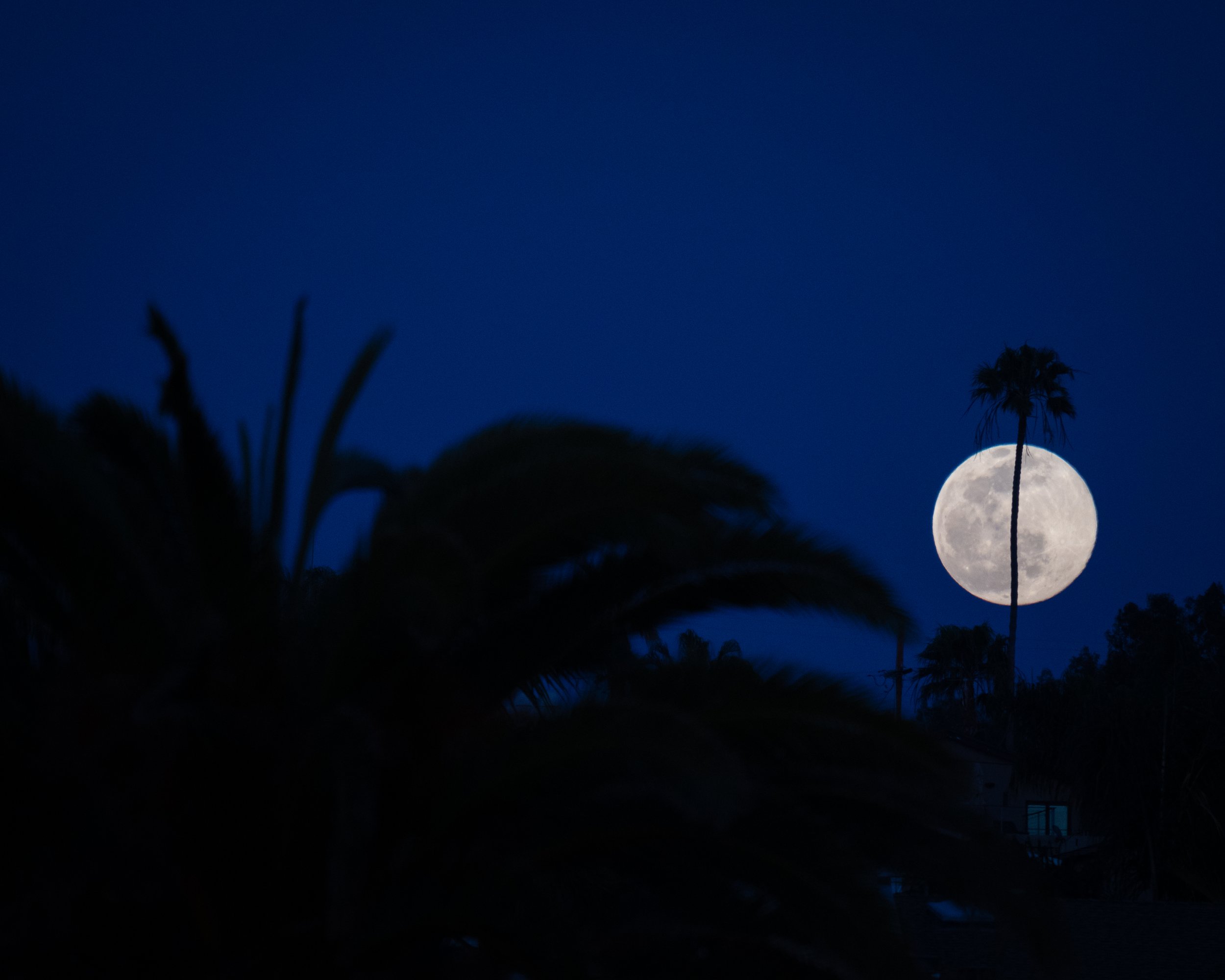 Cardiff Moonrise IG Posts-1-4.jpg