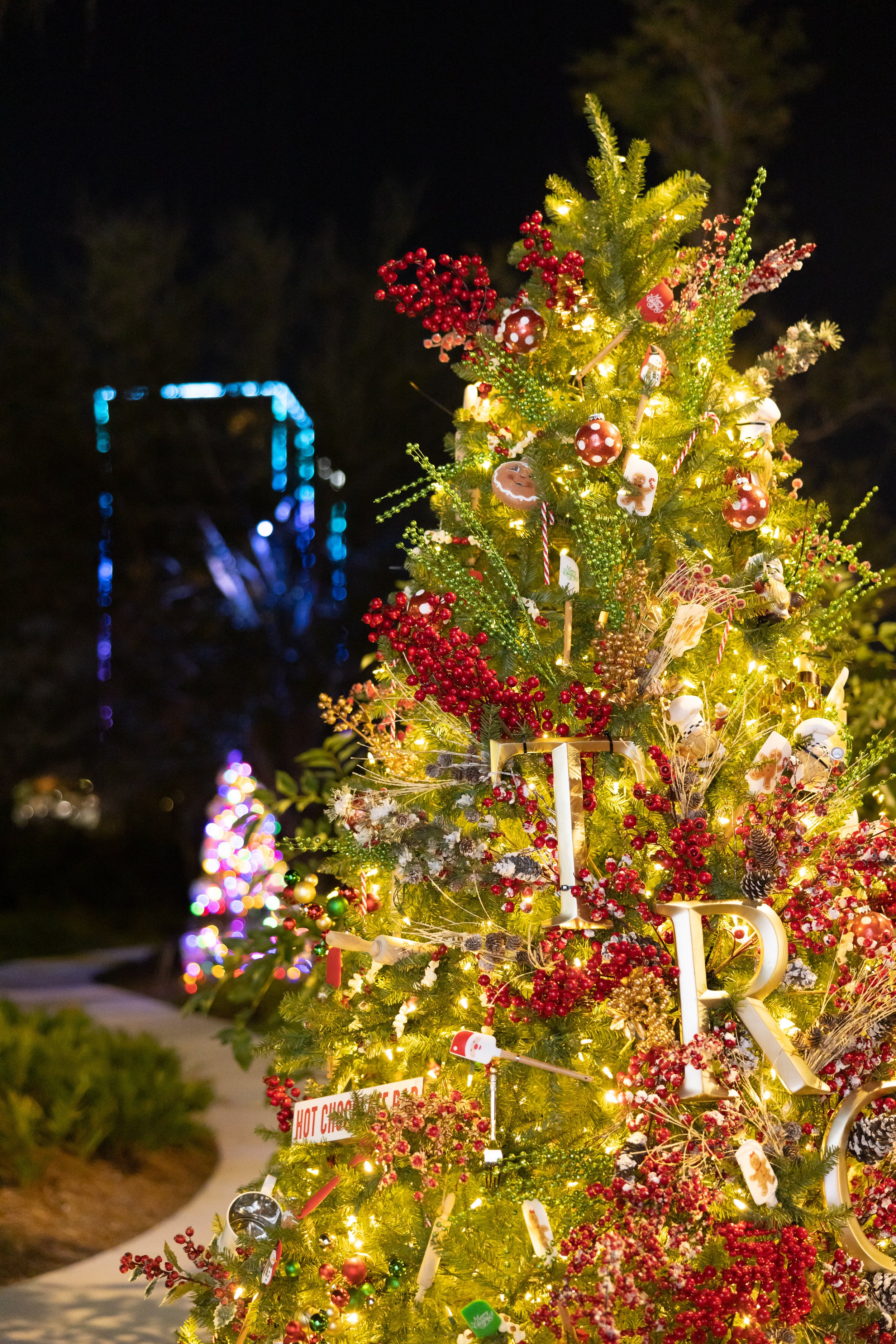 Oh, Carnival Tree! Oh, Carnival Tree!