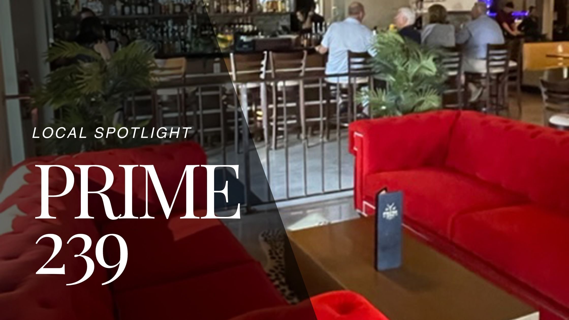 Local Spotlight - Prime 239